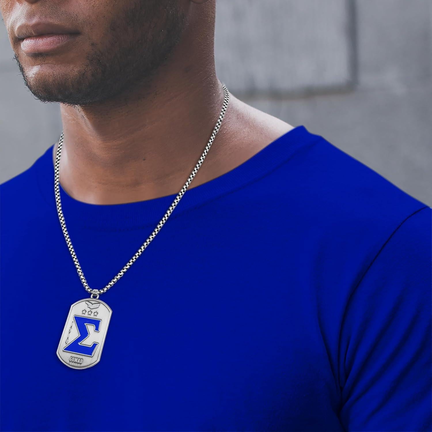 Collar de Placa de Perro Bad Bananas Sigma 24" (61 cm) - Vendedor Oficial