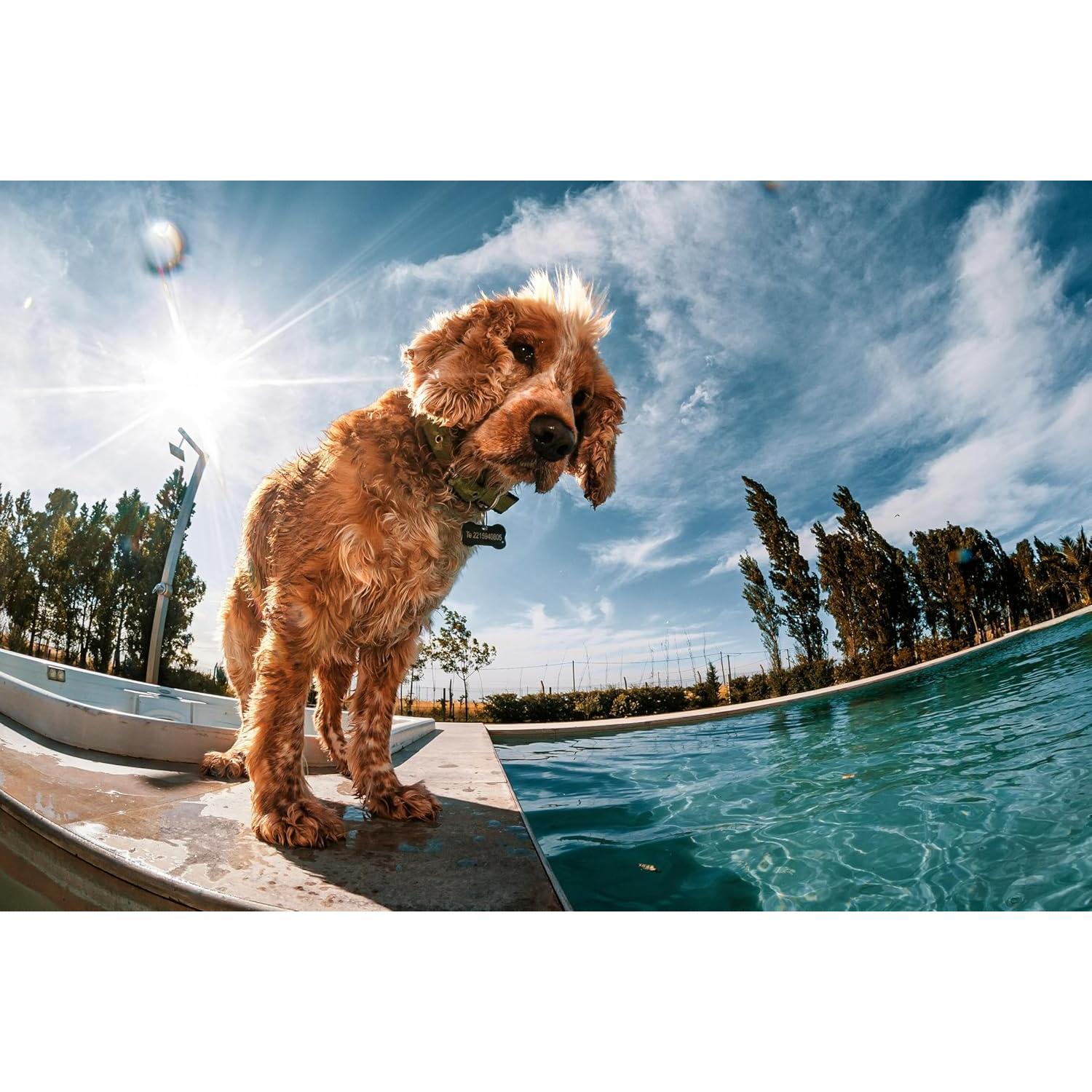 Lente Fisheye 0.21x Hila Optics para FUJIFILM GF 30mm