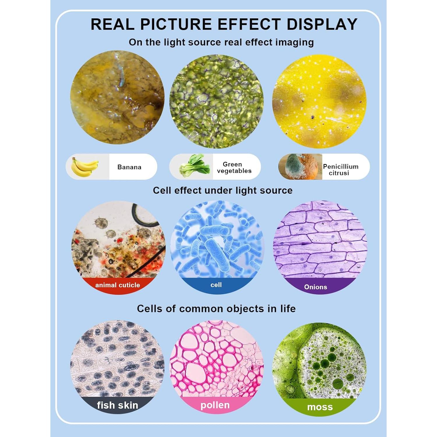 Microscopio Binocular Woehrsh 40X-2000X con Cámara USB