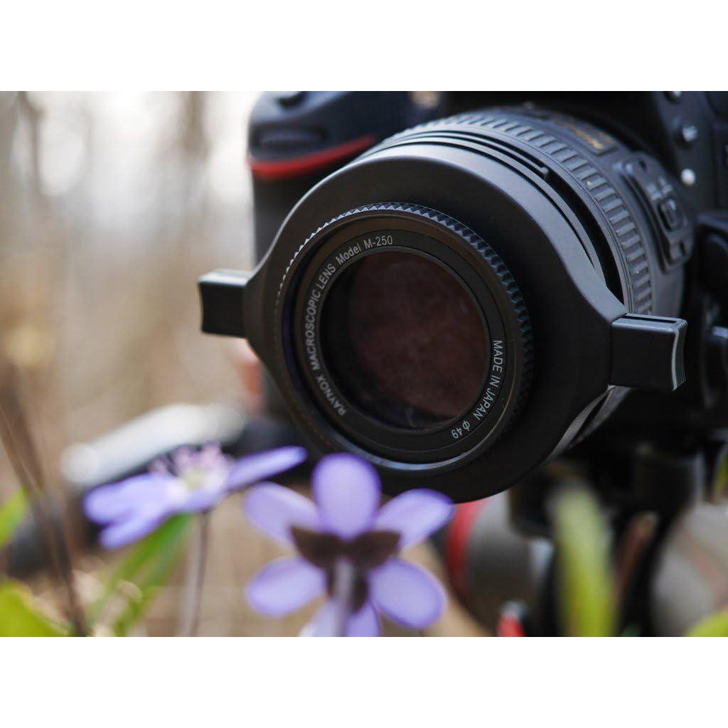 Lente Macro Raynox DCR-250 con Soporte Universal