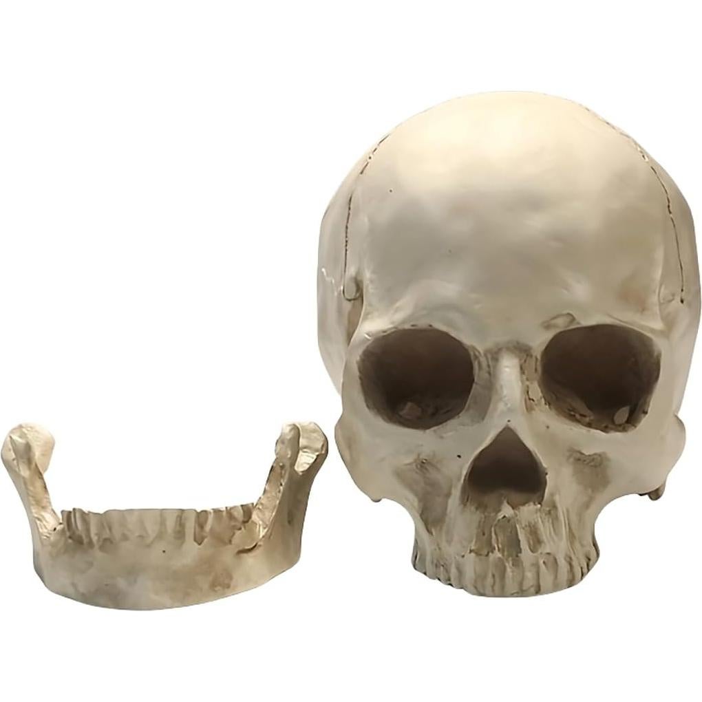Calavera Humana de Resina SOACH 1:1 para Decoración Halloween