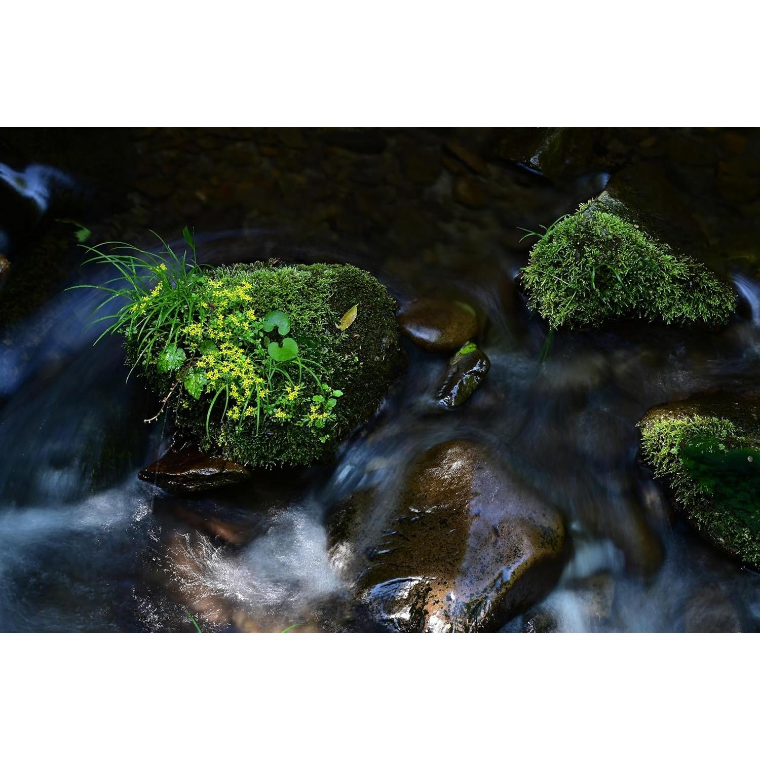 Lente Zoom Telefoto Tamron 70-300mm F4.5-6.3 para Nikon Z