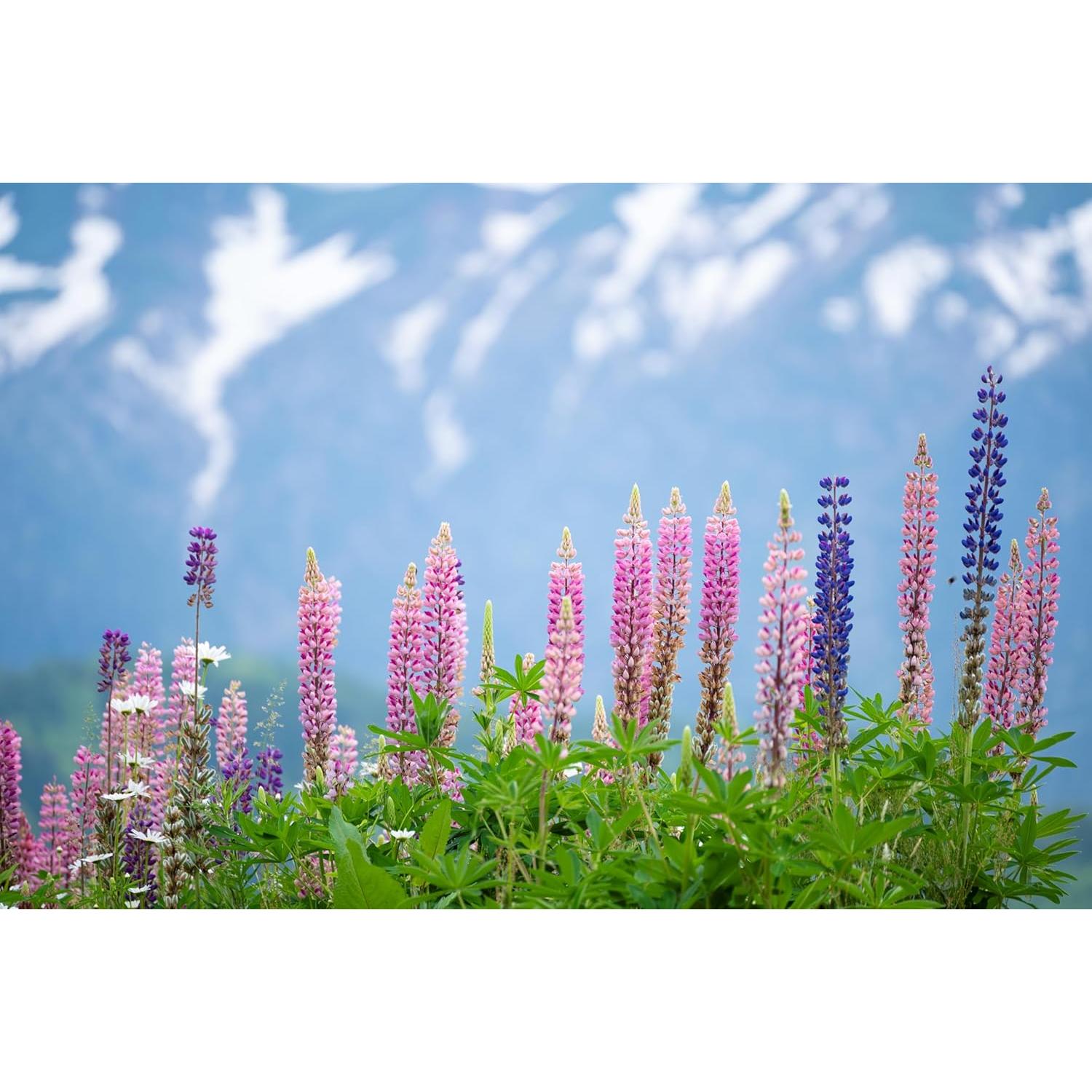 Lente Zoom Telefoto Tamron 70-300mm F4.5-6.3 para Nikon Z