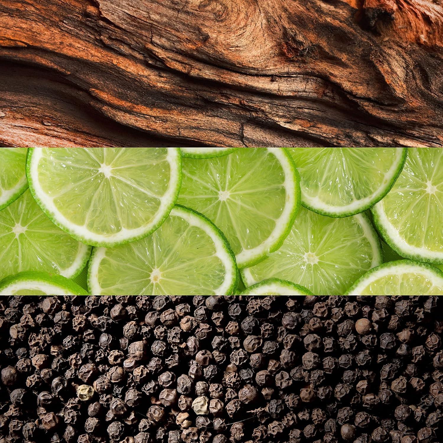 Lacoste Esencial Eau de Toilette 50 ml Hombre - Fragancia Fougere