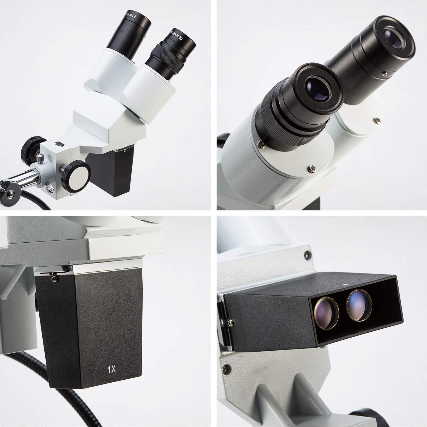 Microscopio Estéreo Binocular Swift S41-20, 10X-20X, LED