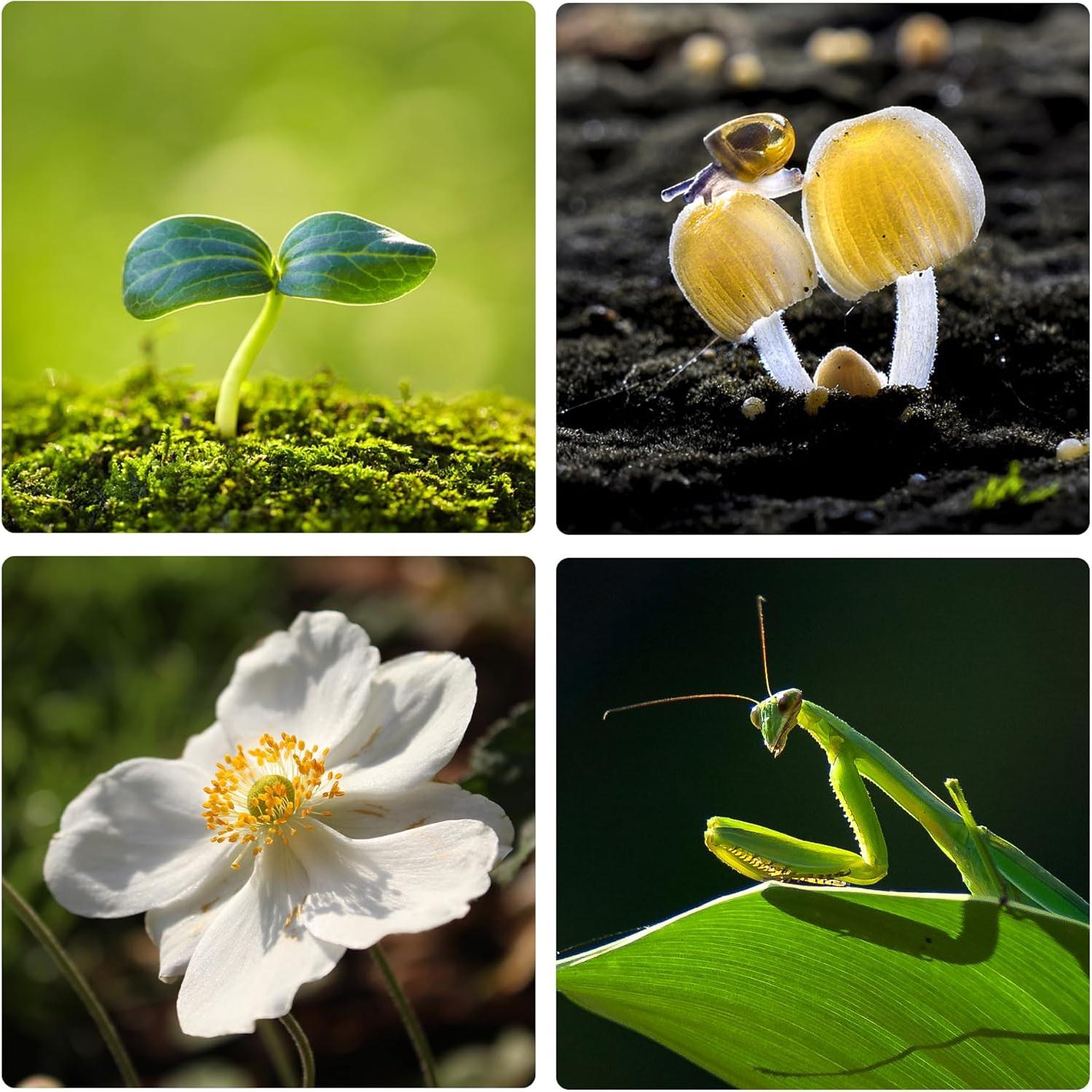 Juego de Tubos de Extensión VILTROX DG-C para Lentes Canon EF EF-S