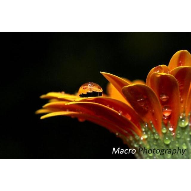 Lente Macro 10x para Olympus TG-5/TG-6 con Adaptador