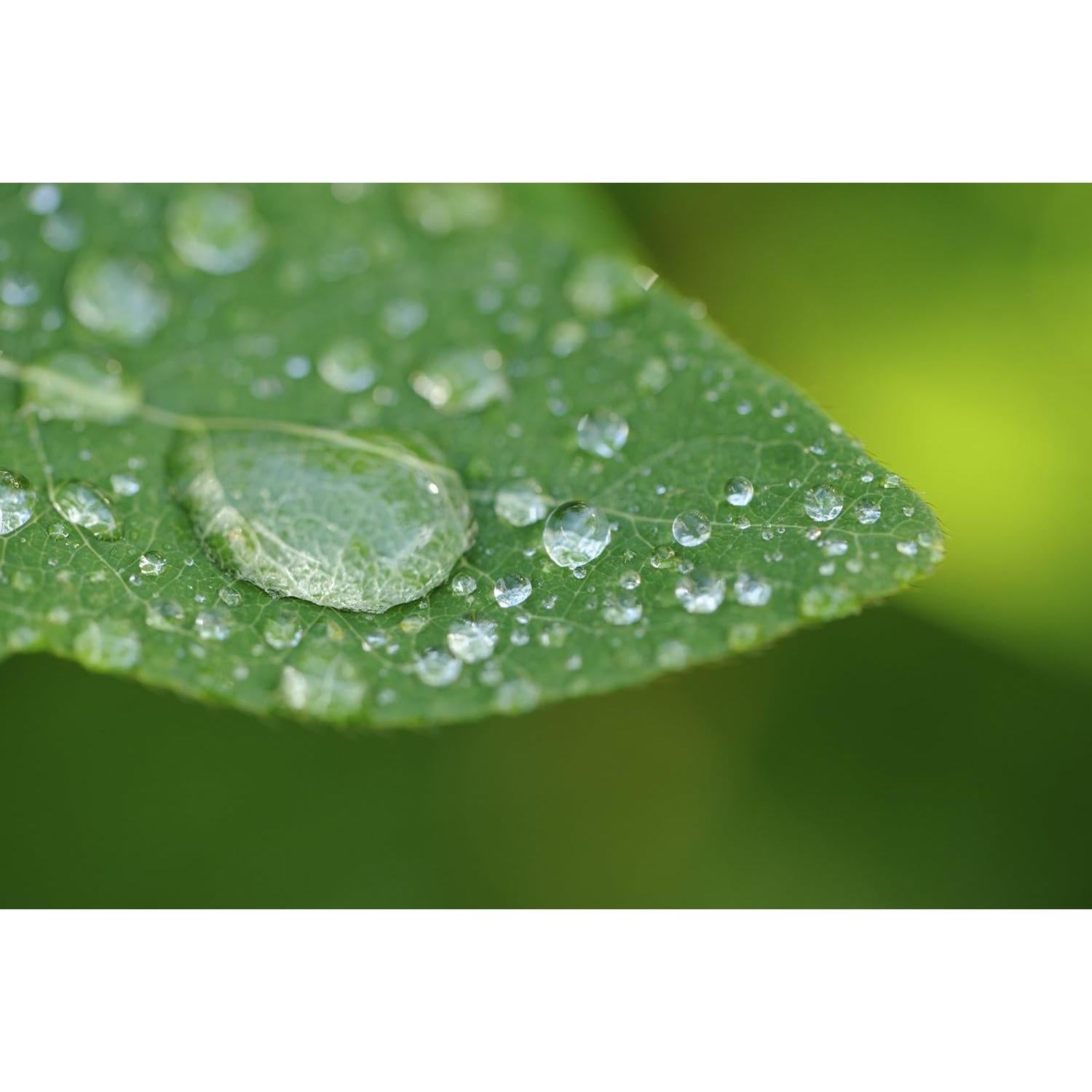 Lente Macro 10x Digital Nc para Fujifilm X-T4 67mm