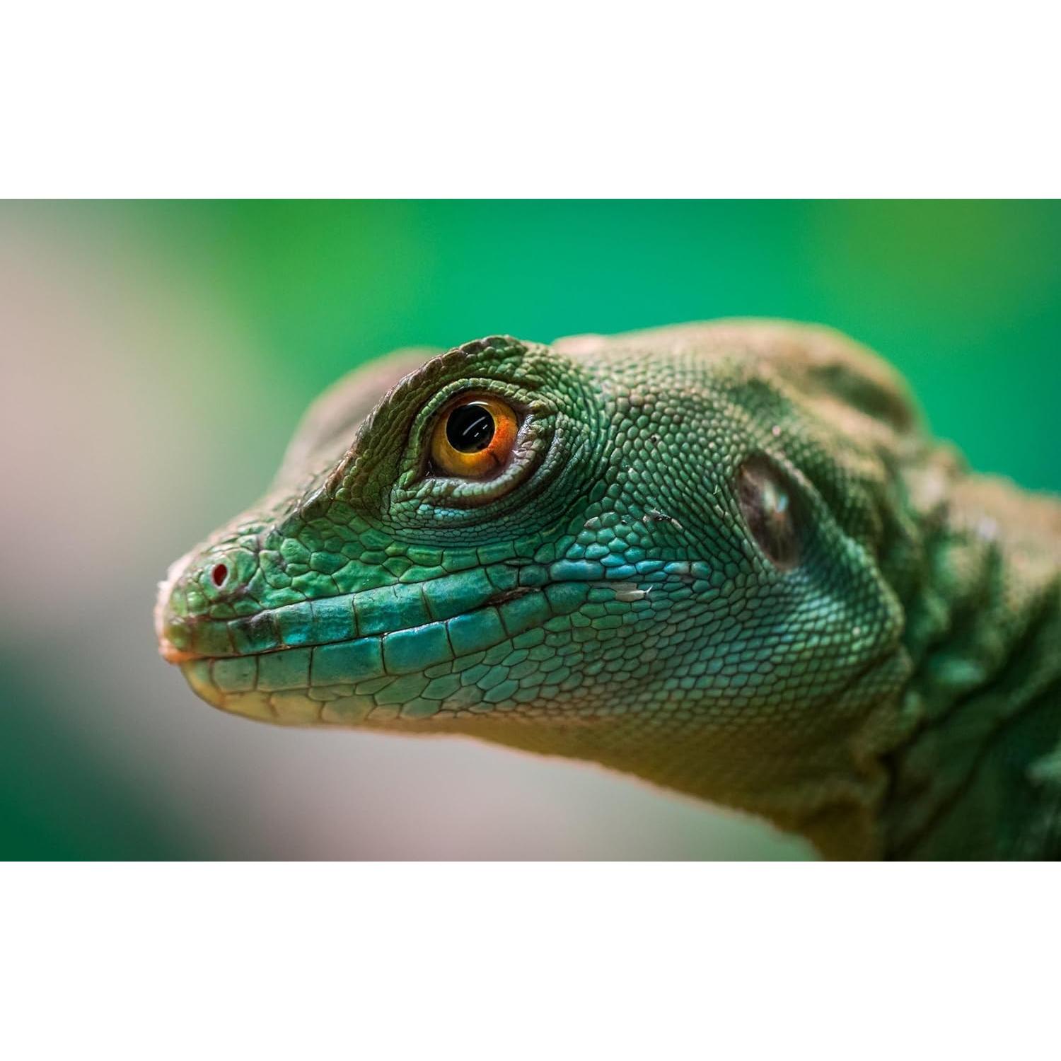 Lente Macro 77mm 10x OPTURA HD para Fotografía de Primer Plano