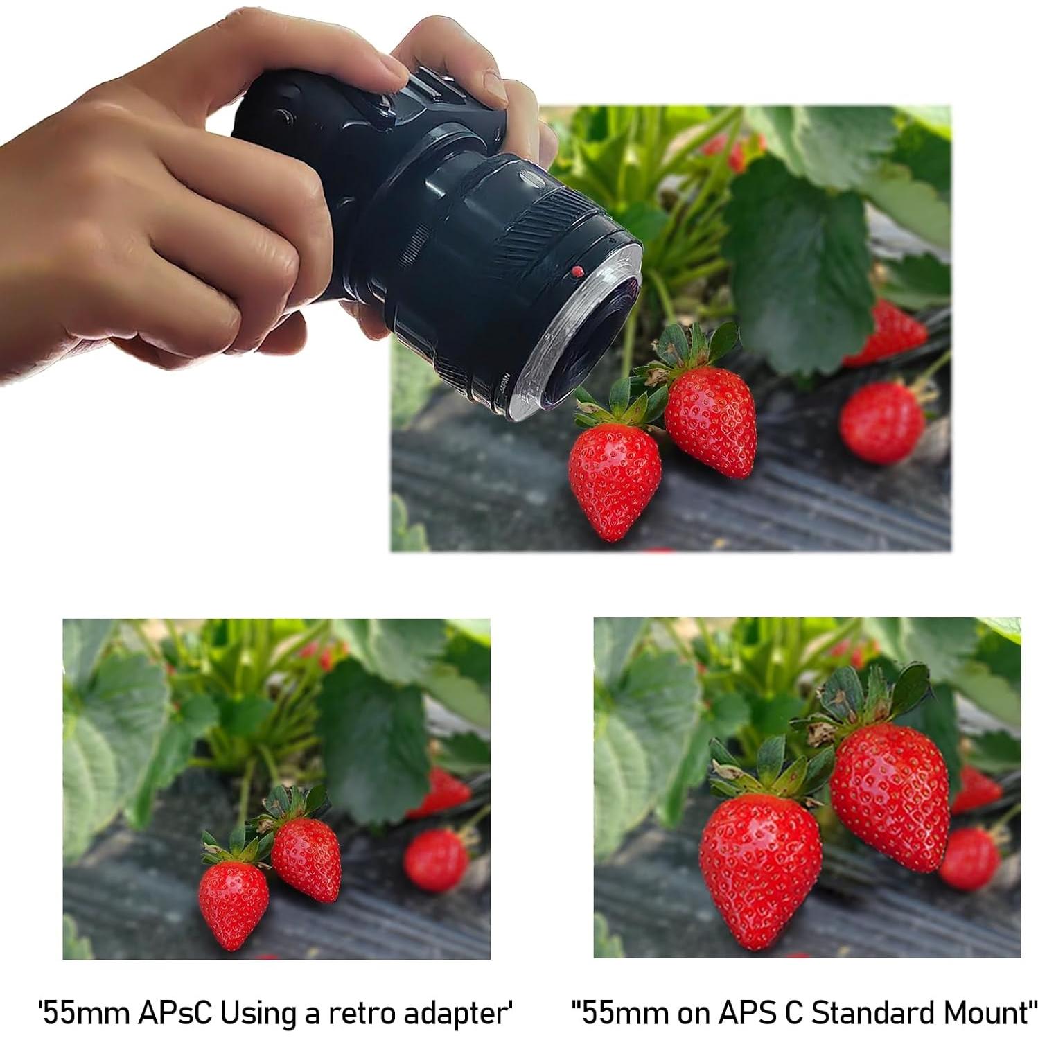 55mm to NEX Macro Lens Reverse Ring Compatible with for Sony A6500 A6300 A5100 A6000 A5000 A3000 A7RIII A9 A7III A7 A7s A7R A7II A7RII A7SII Camera,with 55mm Filter Thread Lens.Macro Shoot