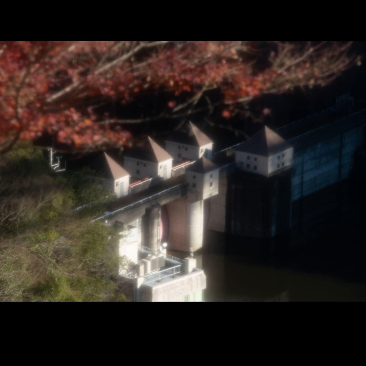 Filtro Difusor Hoya 58mm - Efecto Suave para Retratos