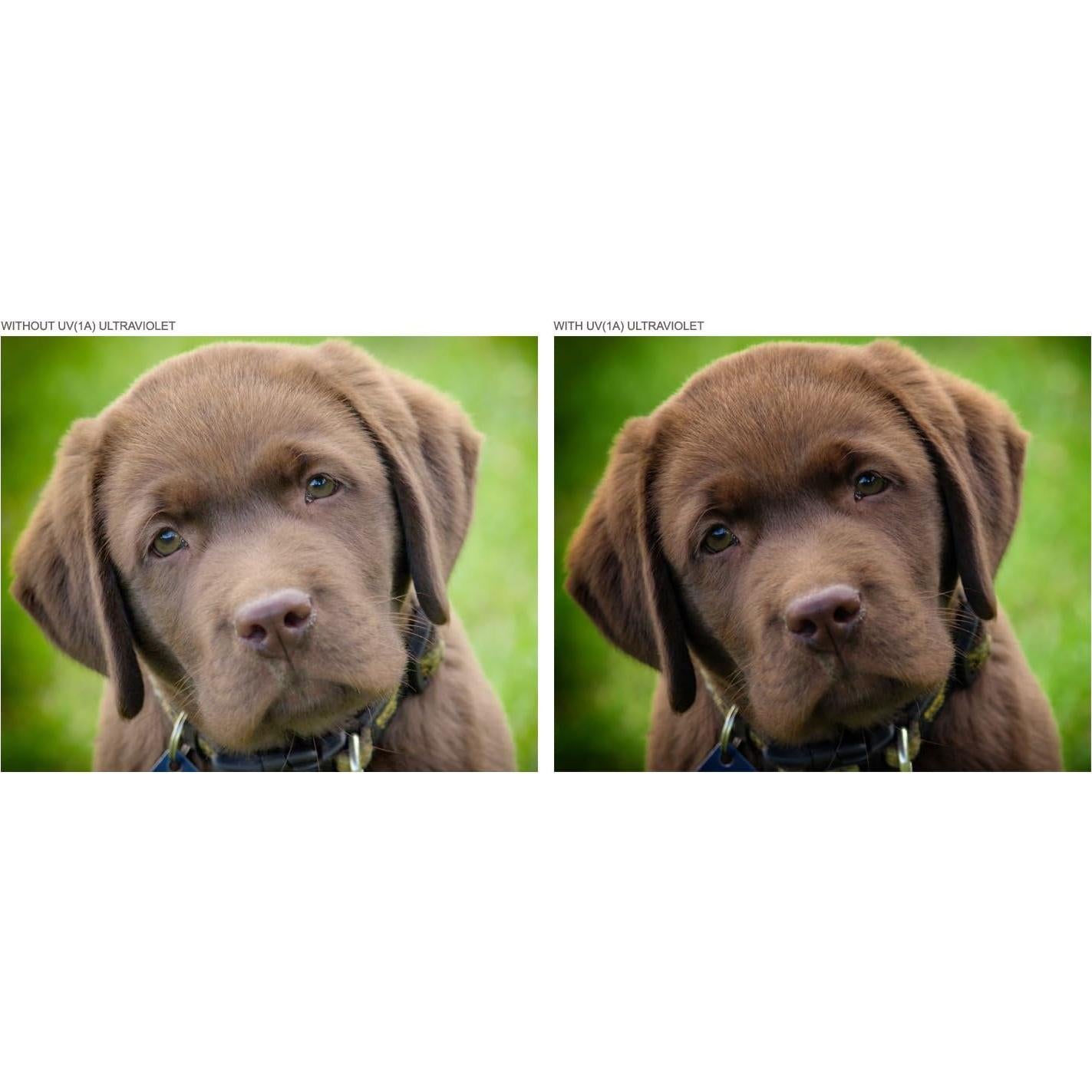 Kit de Filtros de Lente Digital Nc 95mm UV y Polarizador