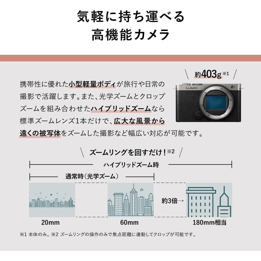 Cámara Sin Espejo Panasonic LUMIX S9 24.2MP 20-60mm F3.5-5.6