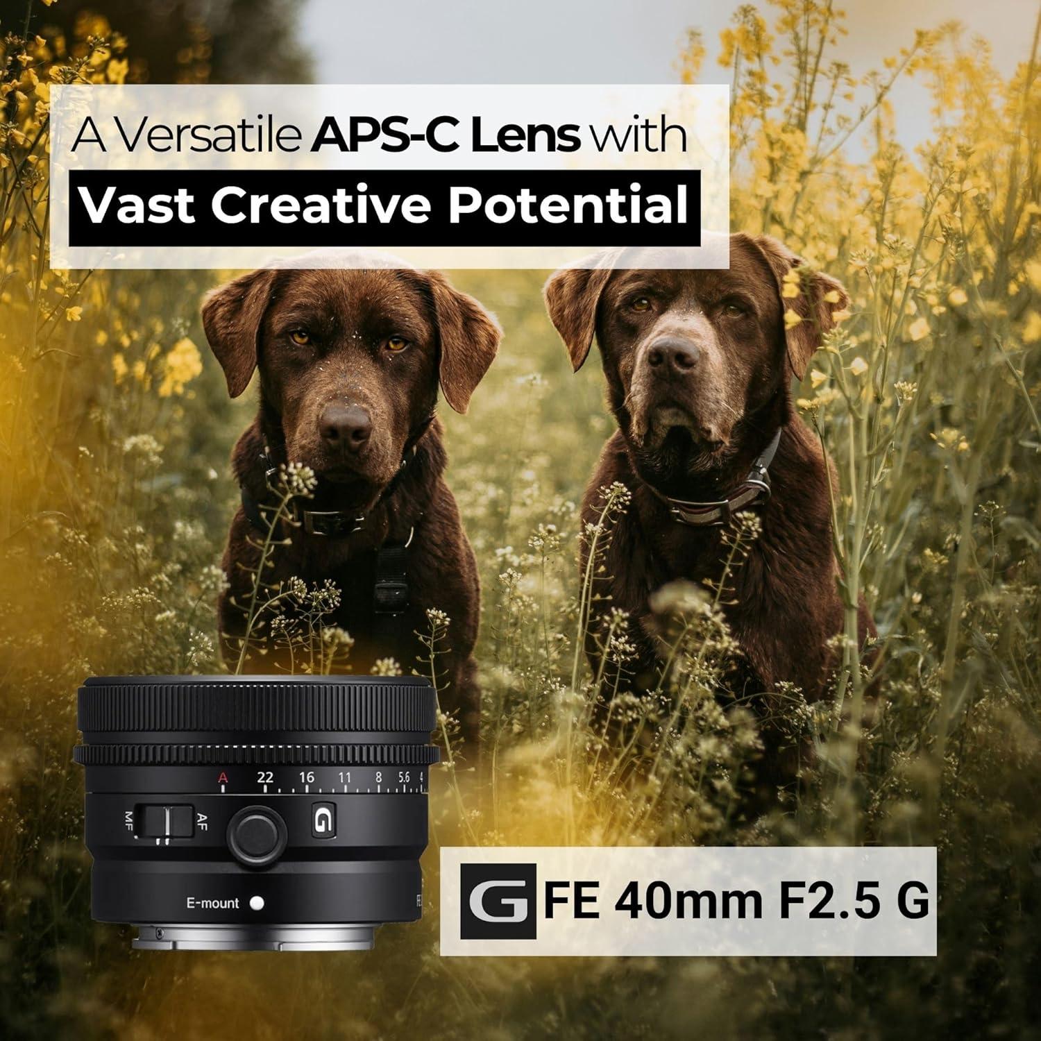 Lente Sony SEL40F25G FE 40mm f/2.5 G Ultra-Compacto