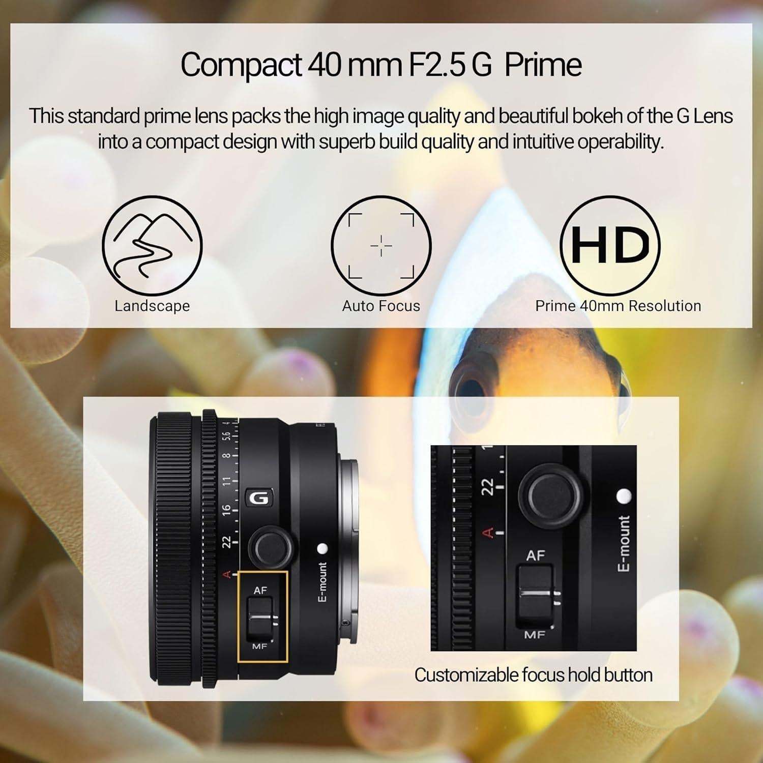 Lente Sony SEL40F25G FE 40mm f/2.5 G Ultra-Compacto