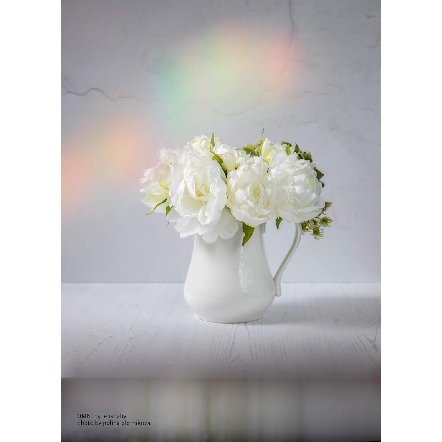 Filtro Creativo Lensbaby LBOF58 Omni 58mm para Cámara