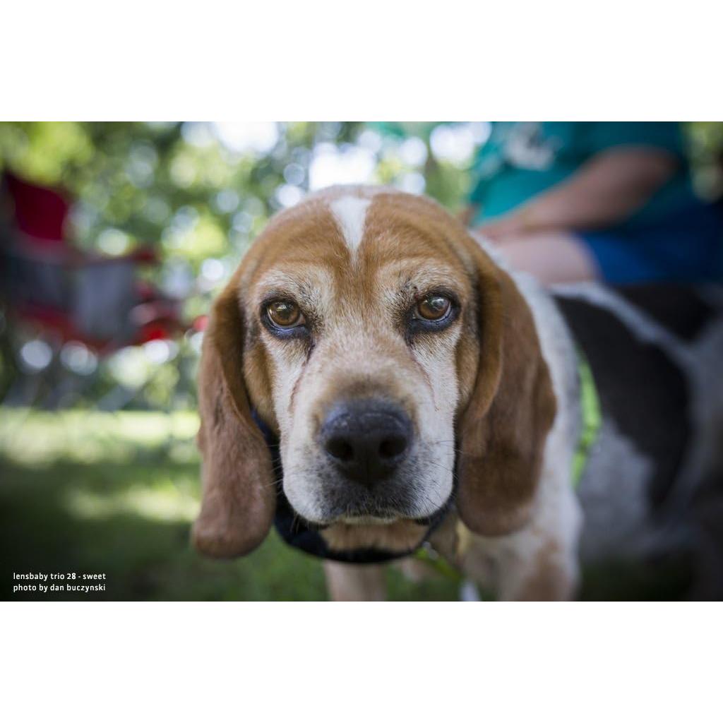 Lente Lensbaby Trio 28mm f/3.5 para Canon RF - Compacto y Creativo