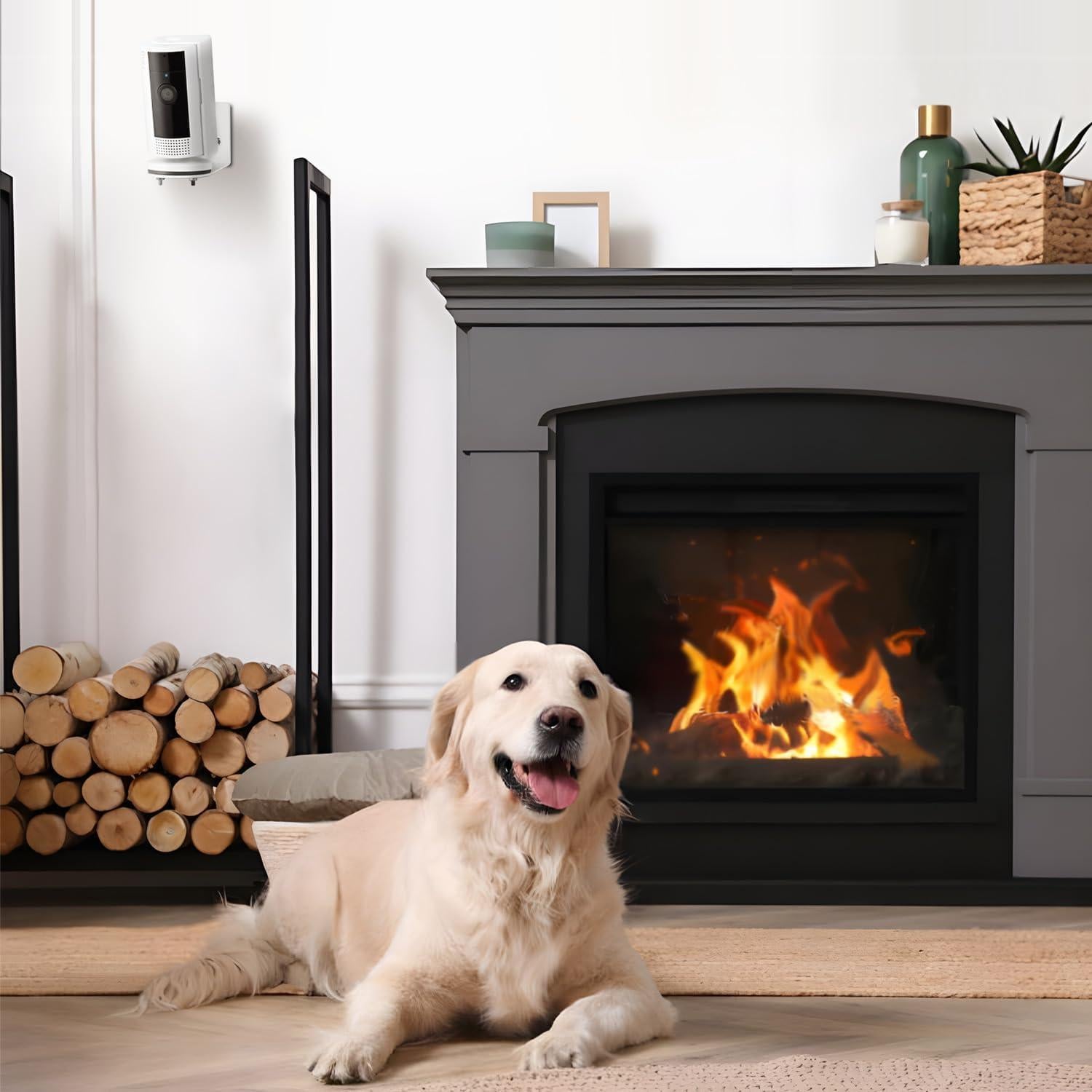 Soporte de Pared para Cámara Interior Ring - Metal Blanco (2 Pack)