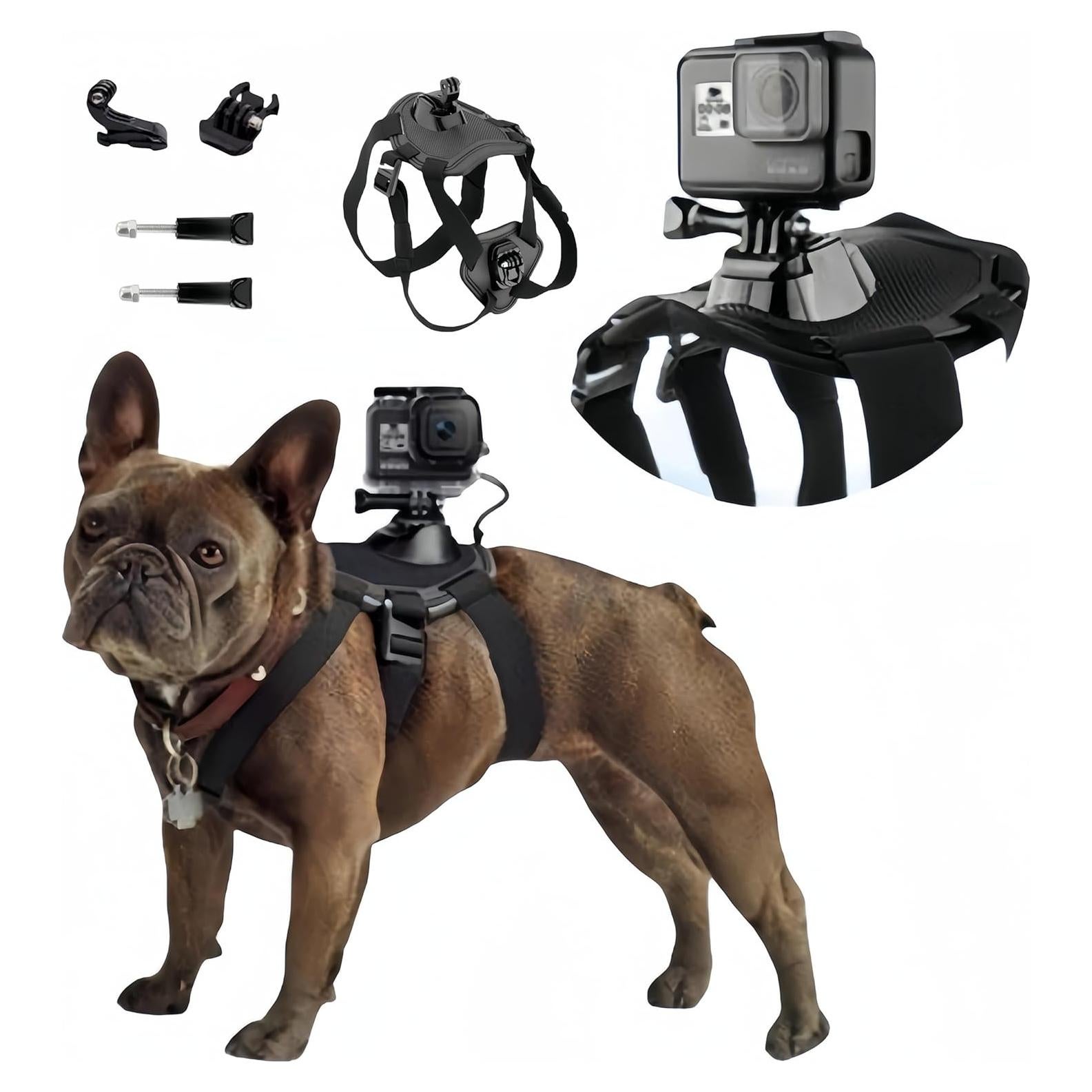 Arnés Ajustable para Perros Wogerplu con Soporte GoPro
