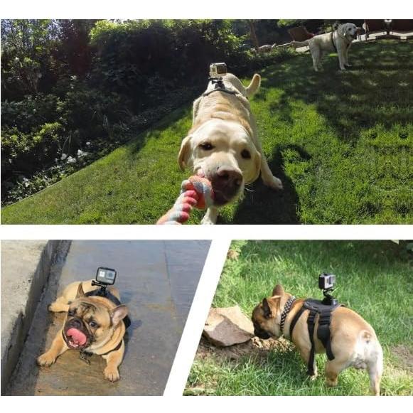 Arnés Ajustable para Perros Wogerplu con Soporte GoPro