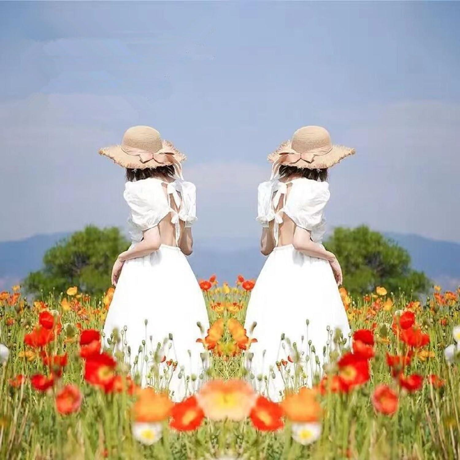 Kit de Clip de Reflexión de Espejo LITHYC para Smartphone - 2 Pcs