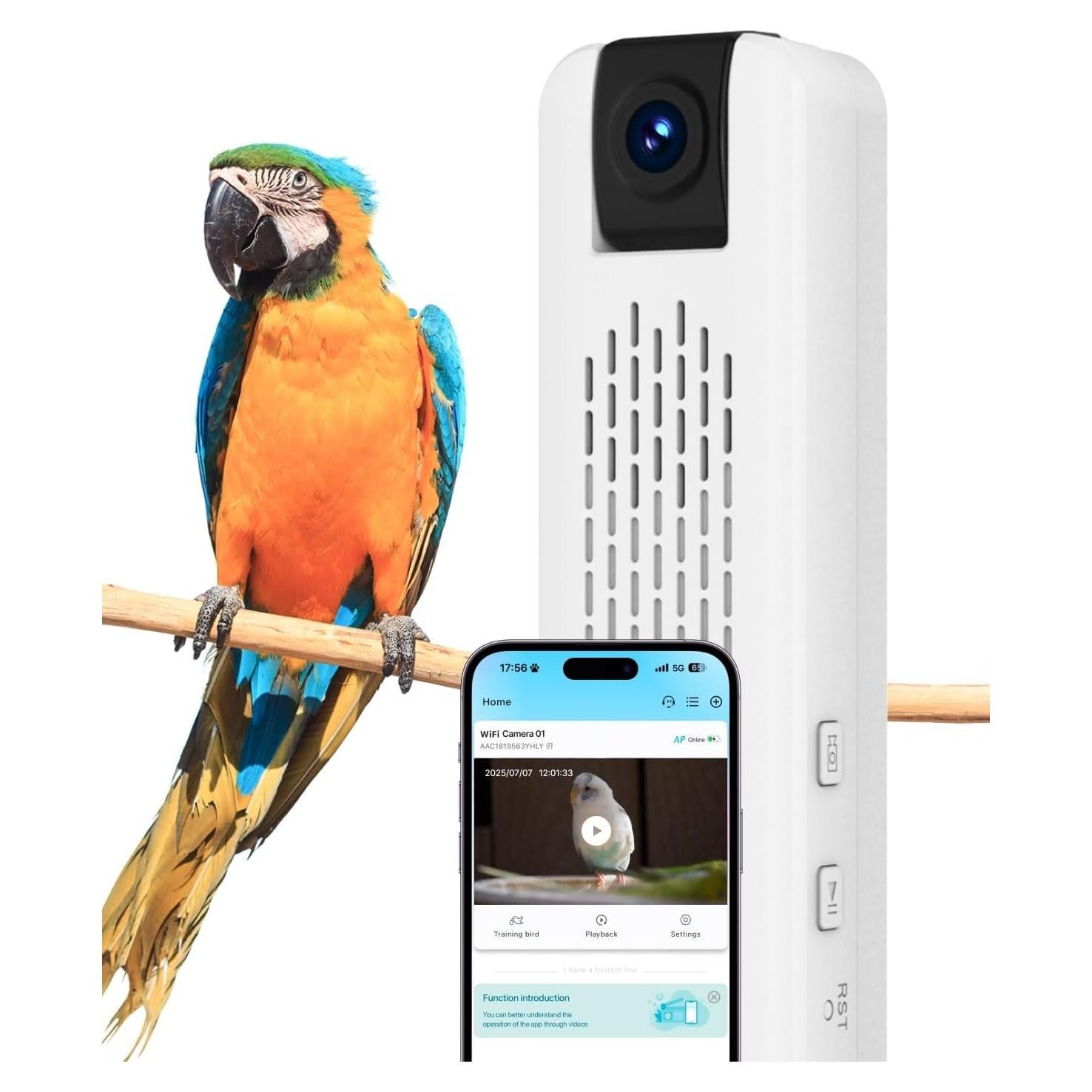 Cámara de Entrenamiento para Aves CATBOAT 2.5K HD con Voz