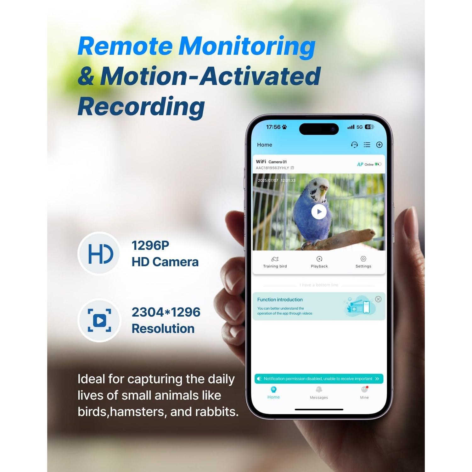 Cámara de Entrenamiento para Aves CATBOAT 2.5K HD con Voz
