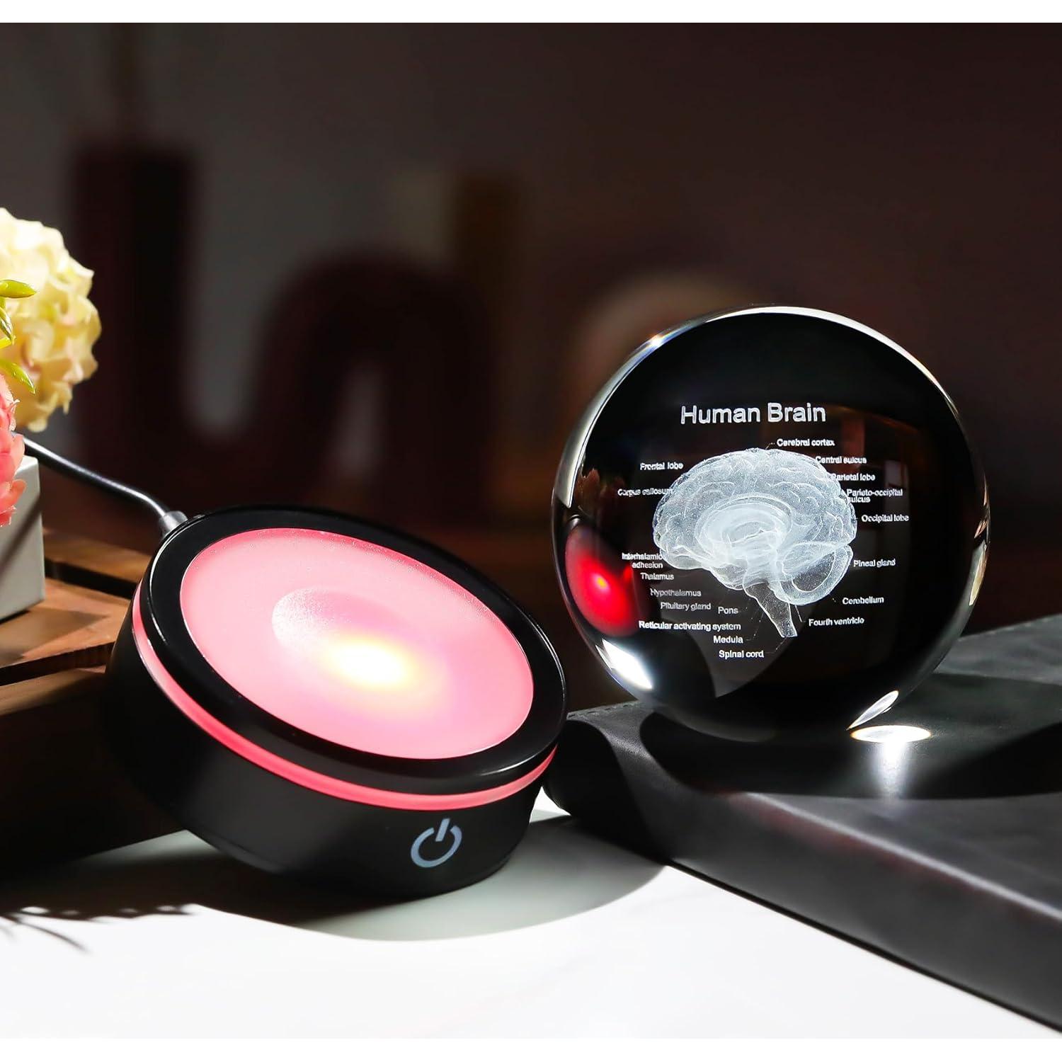 Bola de Cristal 3D Cerebro Humano YWHL con Base LED Colorida