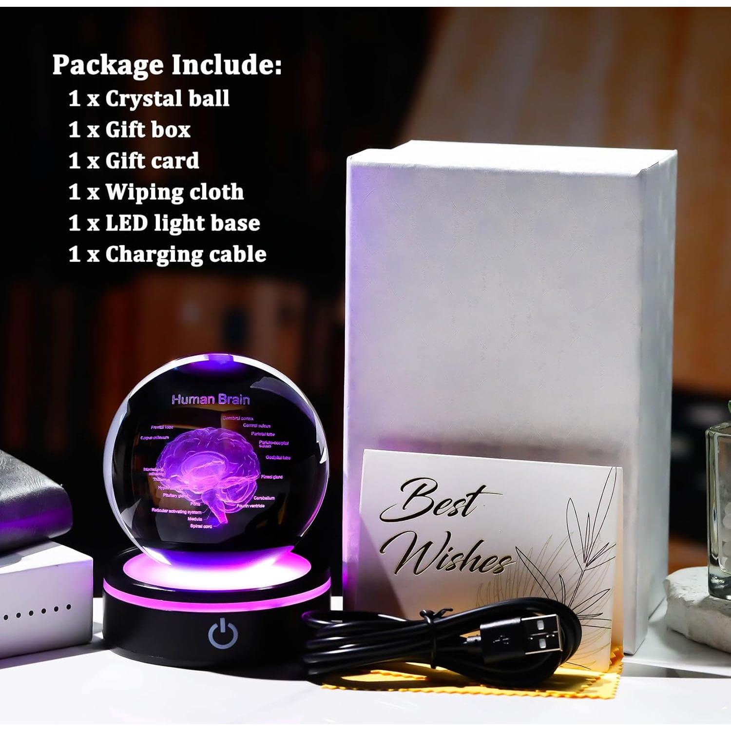 Bola de Cristal 3D Cerebro Humano YWHL con Base LED Colorida