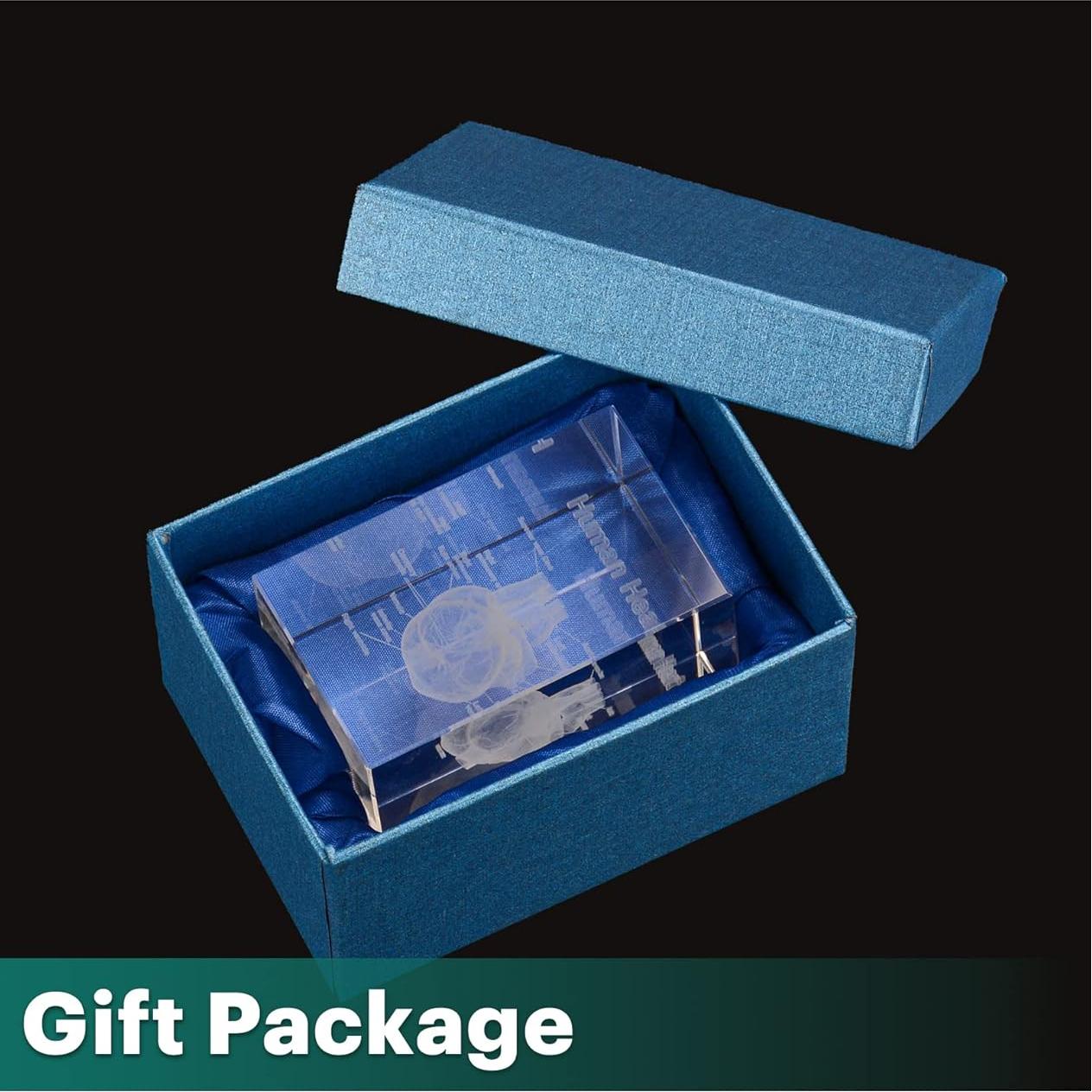 Modelo Anatómico de Corazón Humano en Cristal 3D Ultrassist