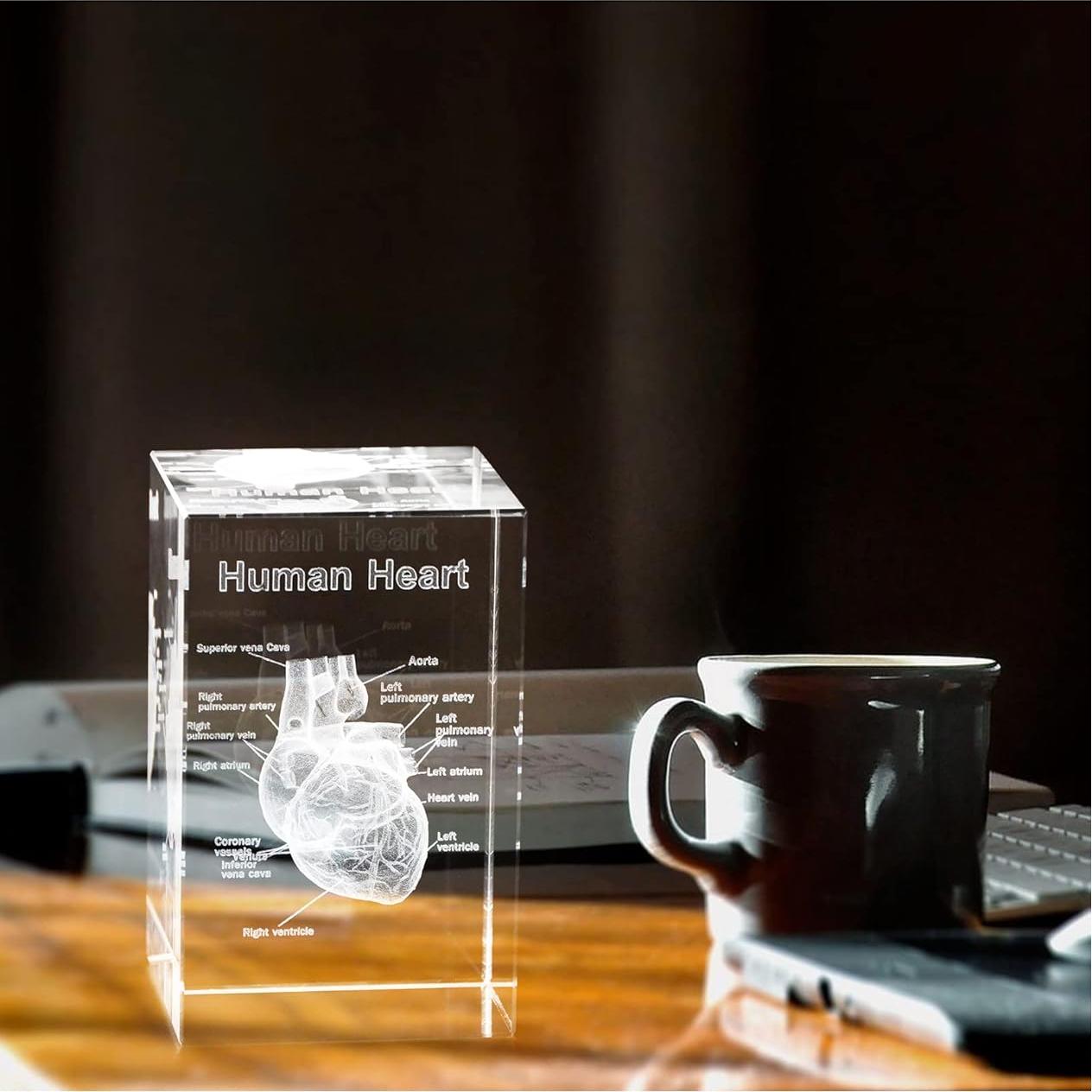 Modelo Anatómico de Corazón Humano en Cristal 3D Ultrassist