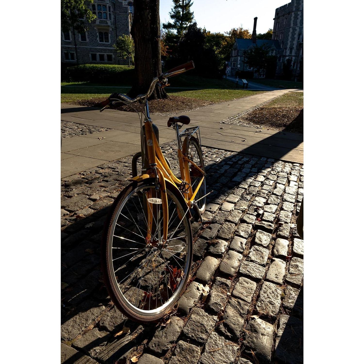 Lente Sigma 16mm f1.4 DC DN para Canon RF - Paquete Básico