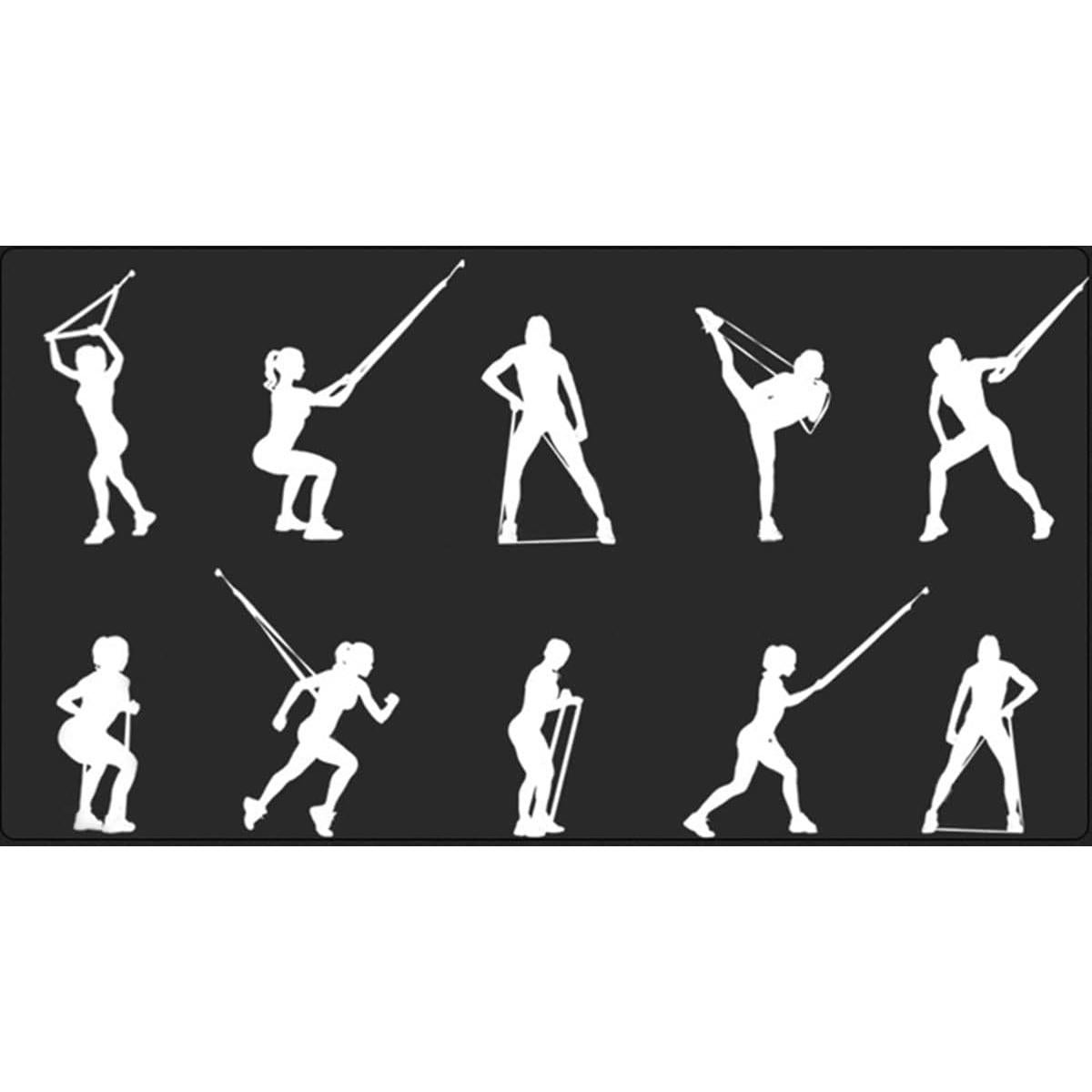 Bandas de Resistencia Sujosa - 4 Niveles de Fitness para Ejercicio