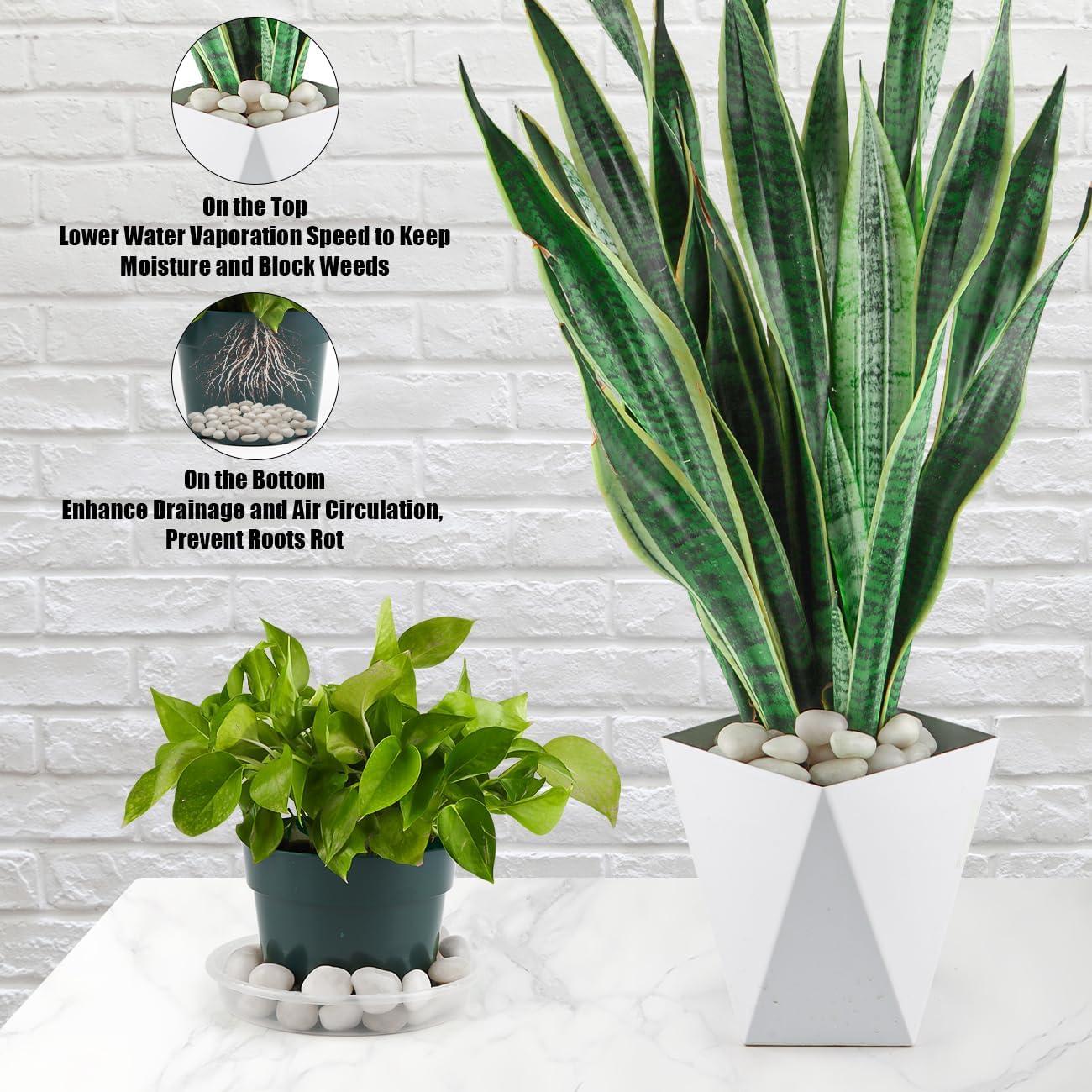 Rocas de Río Pulidas 2.27 Kg para Jardín y Acuario - RooTrimmer