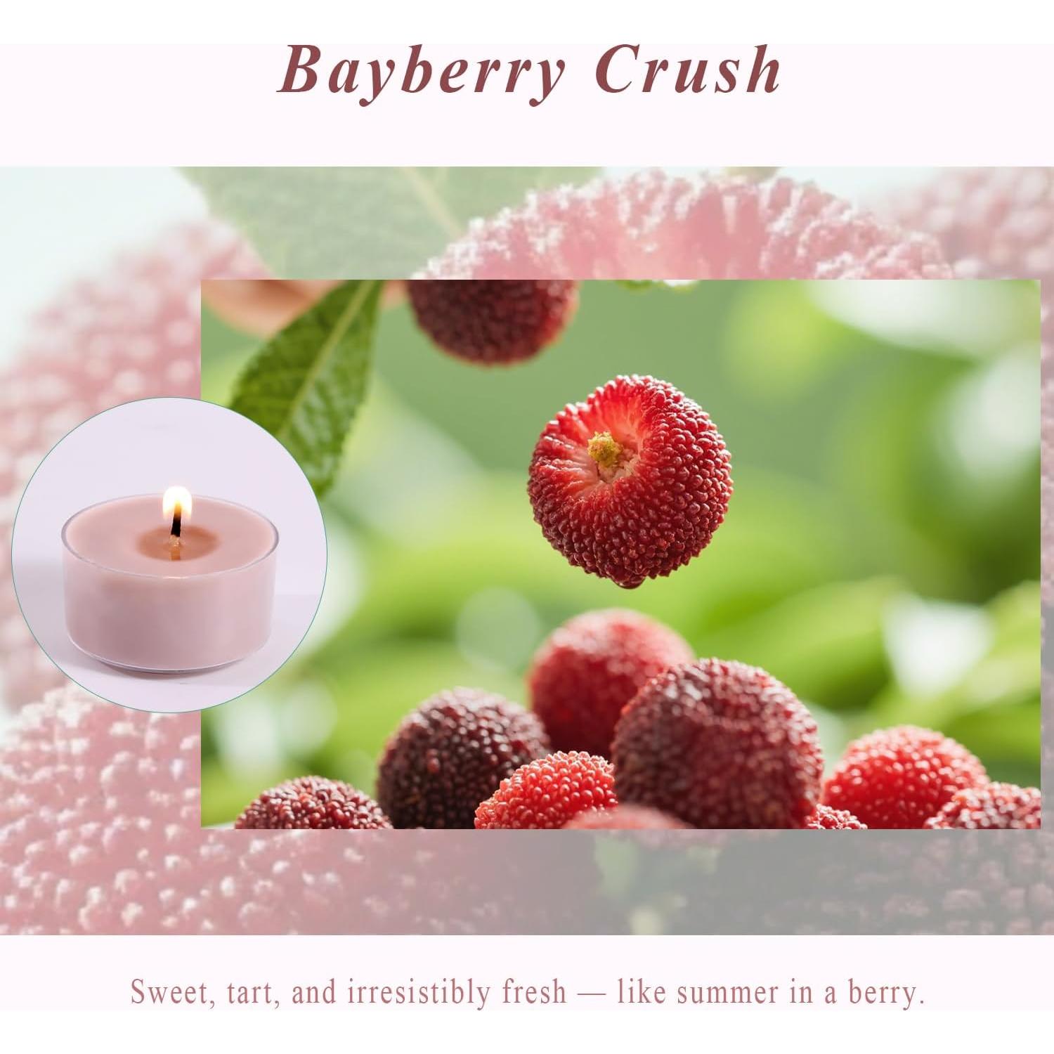 Velas de té aromáticas Bayberry Crush 100% cera de palma 6h