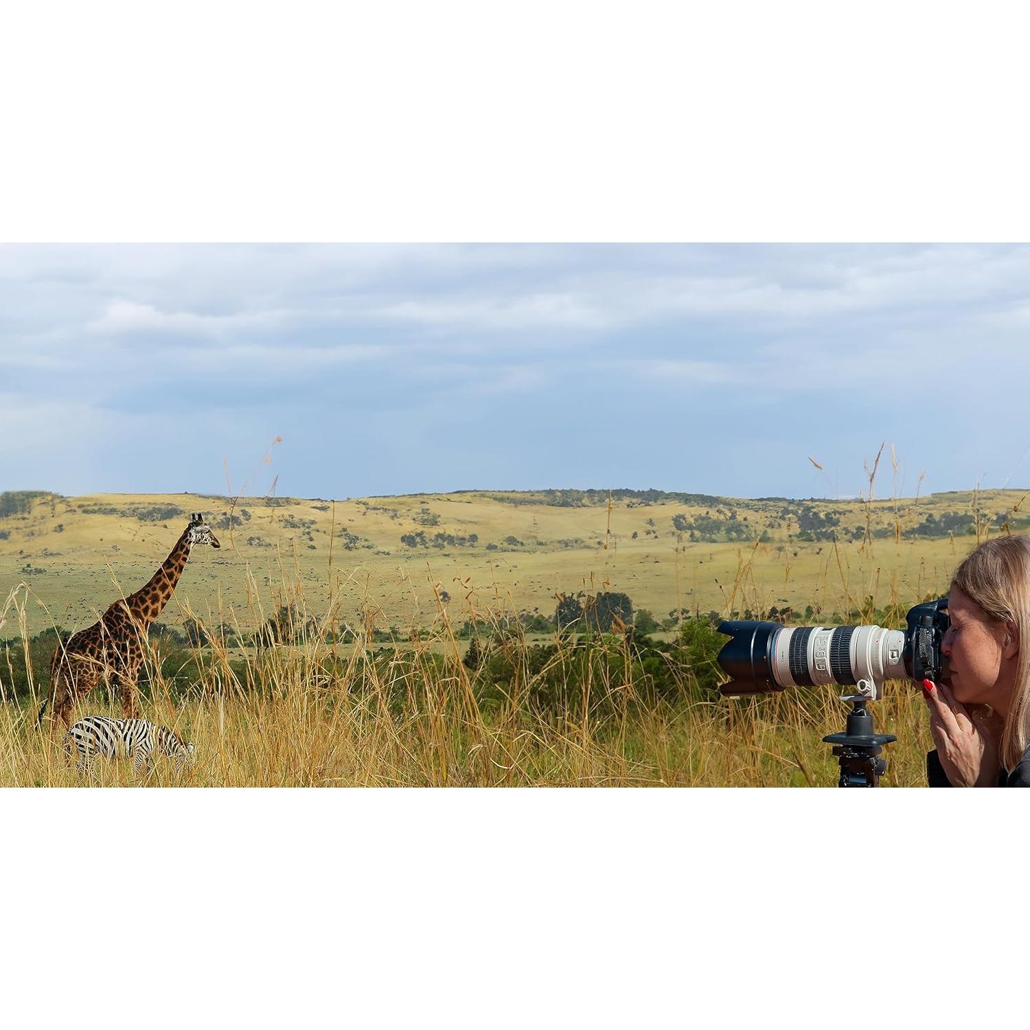 Estabilizador Gimbal StediLens para Lente Telefoto - Soporte Base