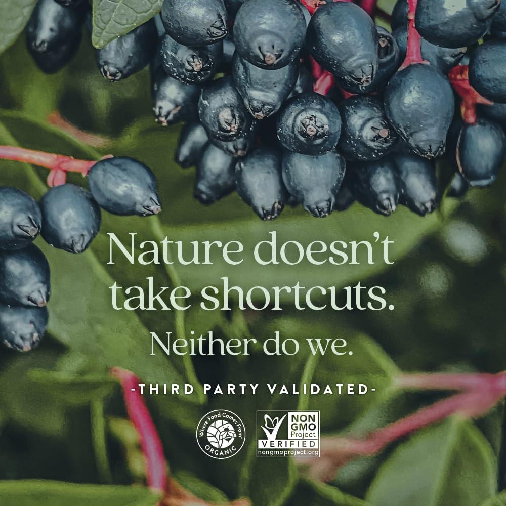 Gomitas Multivitamínicas New Chapter 50+ 90 unidades - 66% Menos Azúcar