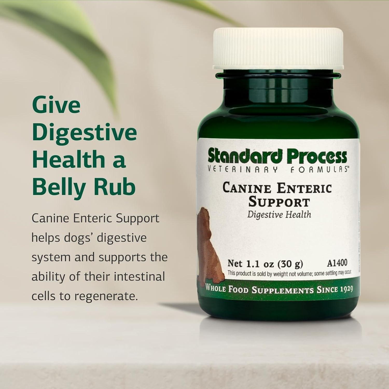Suplemento Digestivo Canino Standard Process 30 g - Salud Intestinal