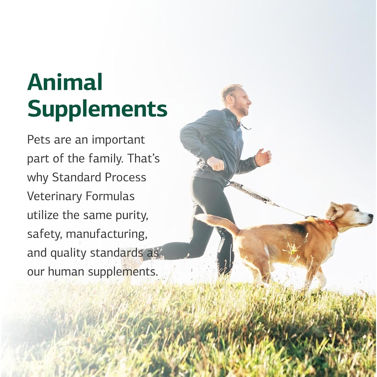 Suplemento Digestivo Canino Standard Process 30 g - Salud Intestinal