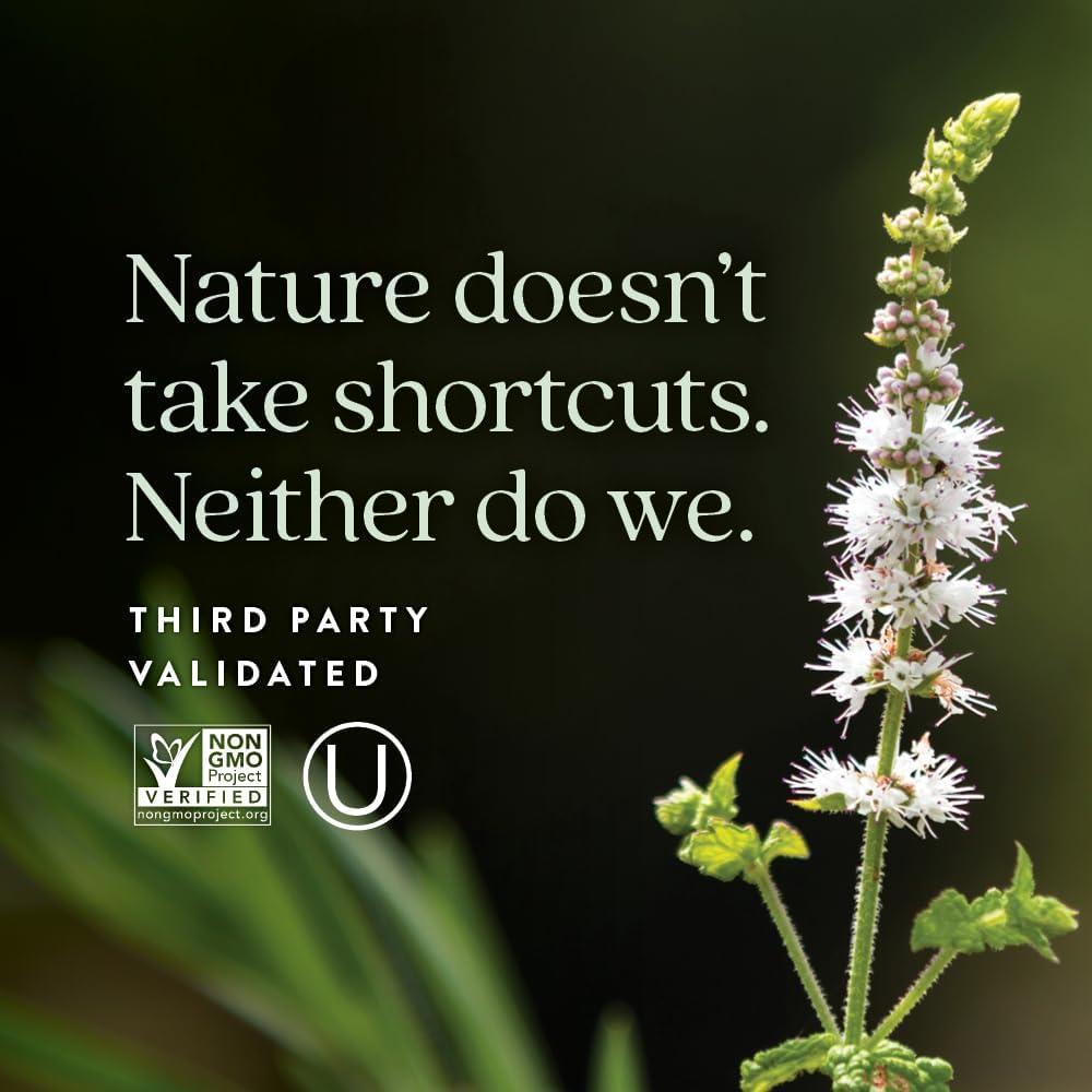 Suplemento Probiotico Nuevo Capítulo Menopausia 30 Cápsulas