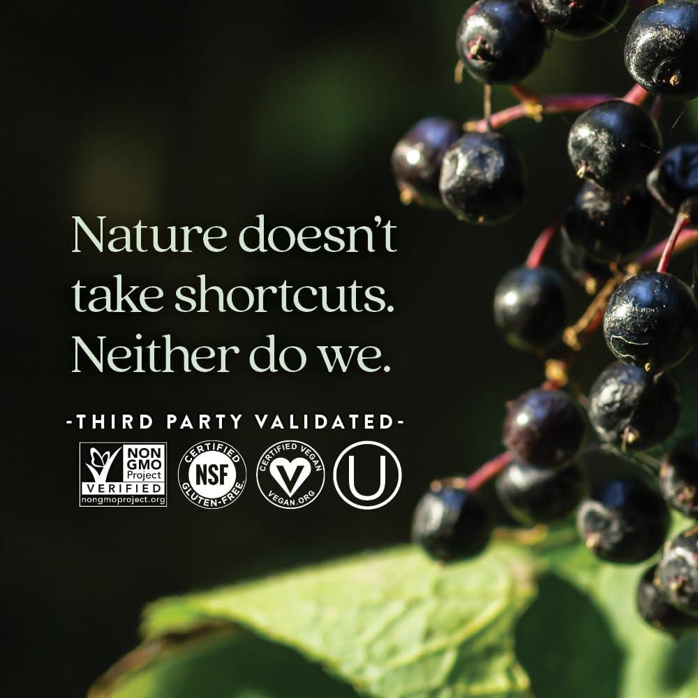 Cápsulas Veganas New Chapter Elderberry Force 30 Unidades