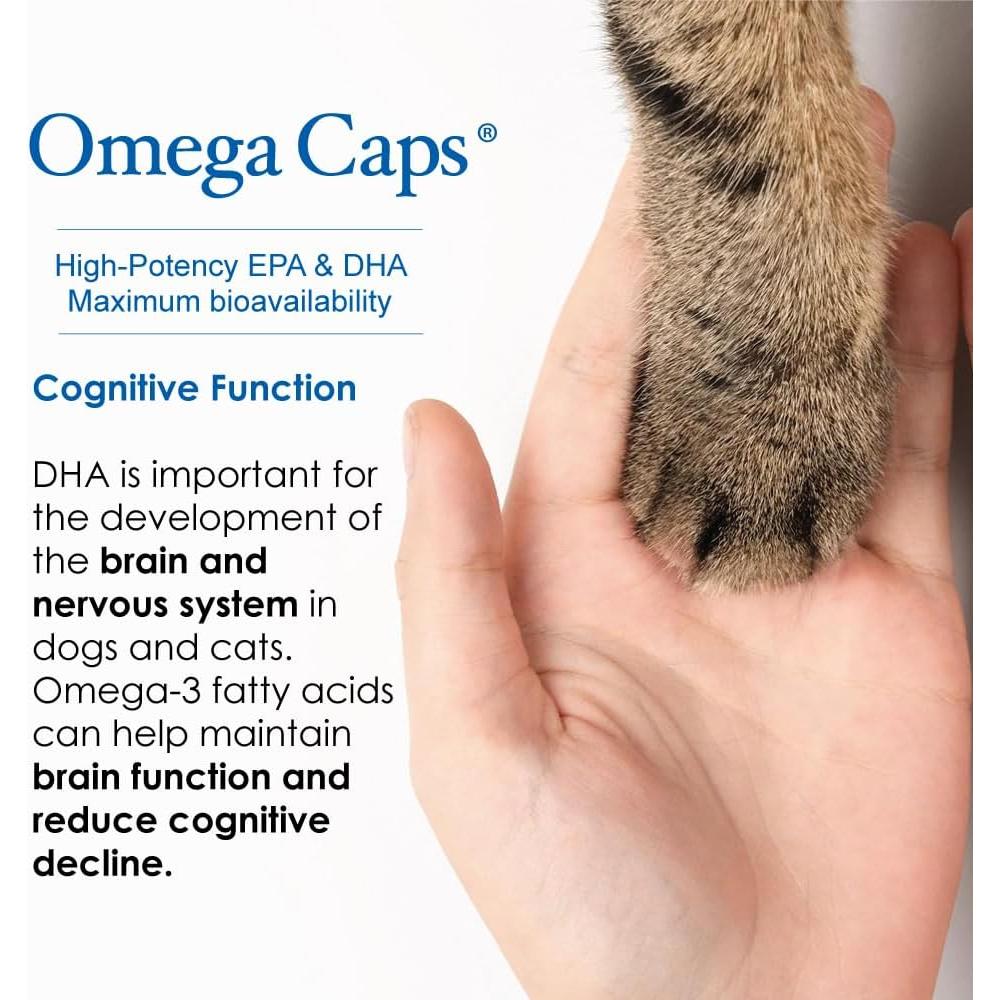 Suplemento Omega-3 y Omega-6 para Perros y Gatos 236.6 ml