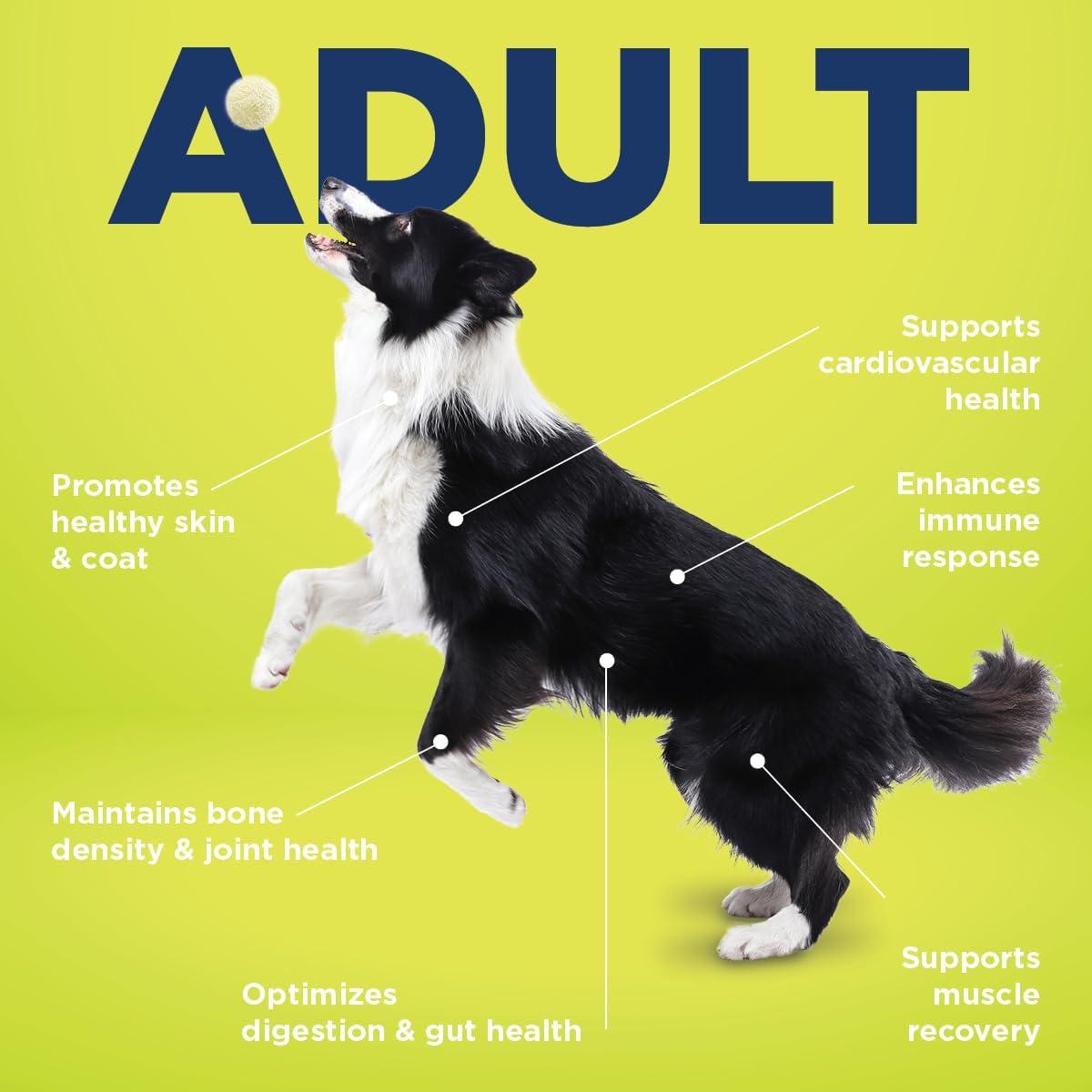 Suplemento Multifuncional para Perros Vetericyn 90 Cápsulas