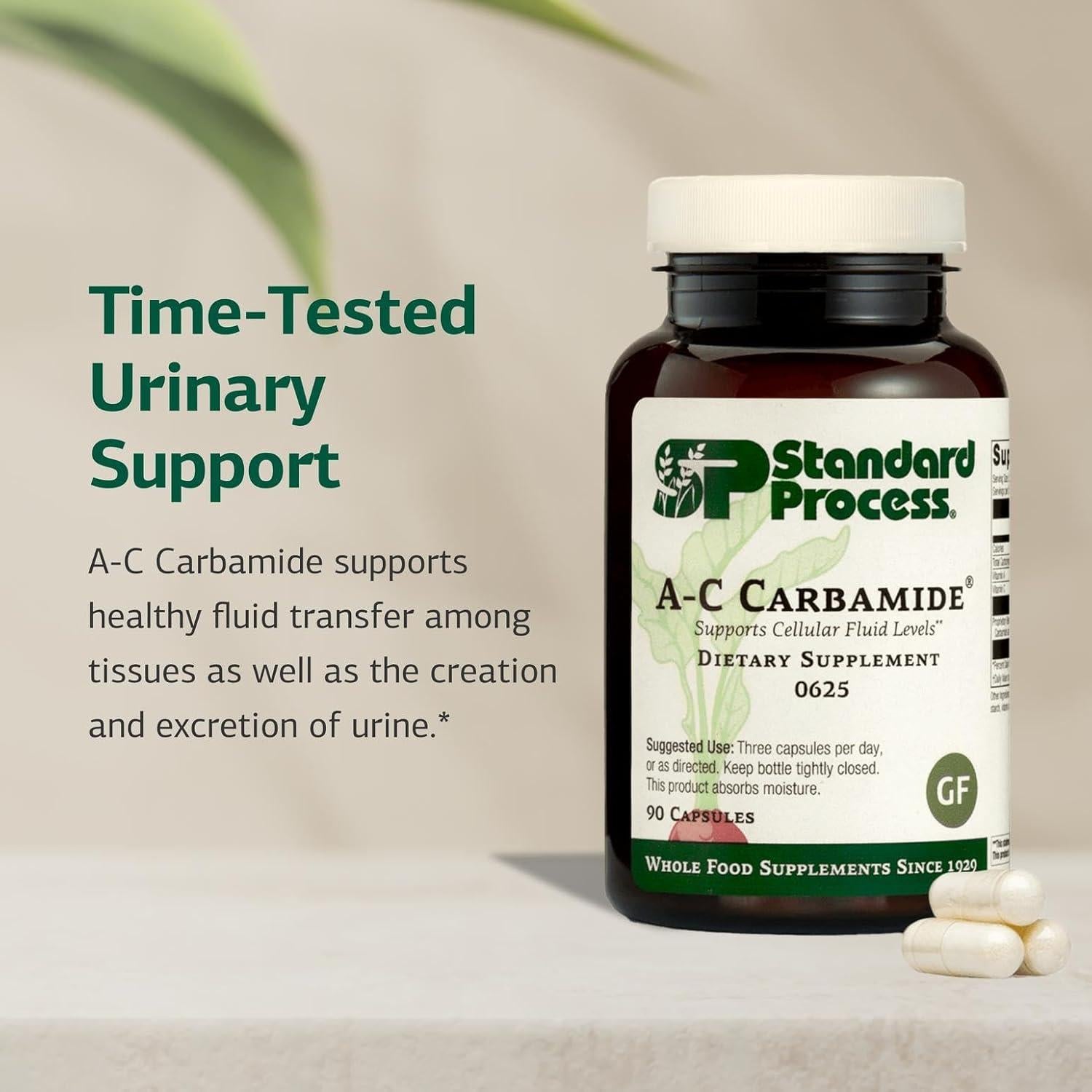 Suplemento Renal A-C Carbamida Standard Process - 90 Cápsulas