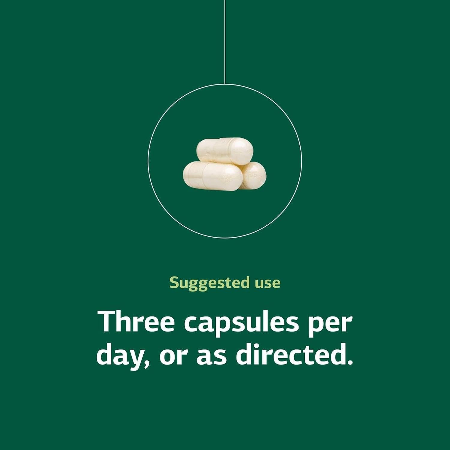 Suplemento Renal A-C Carbamida Standard Process - 90 Cápsulas
