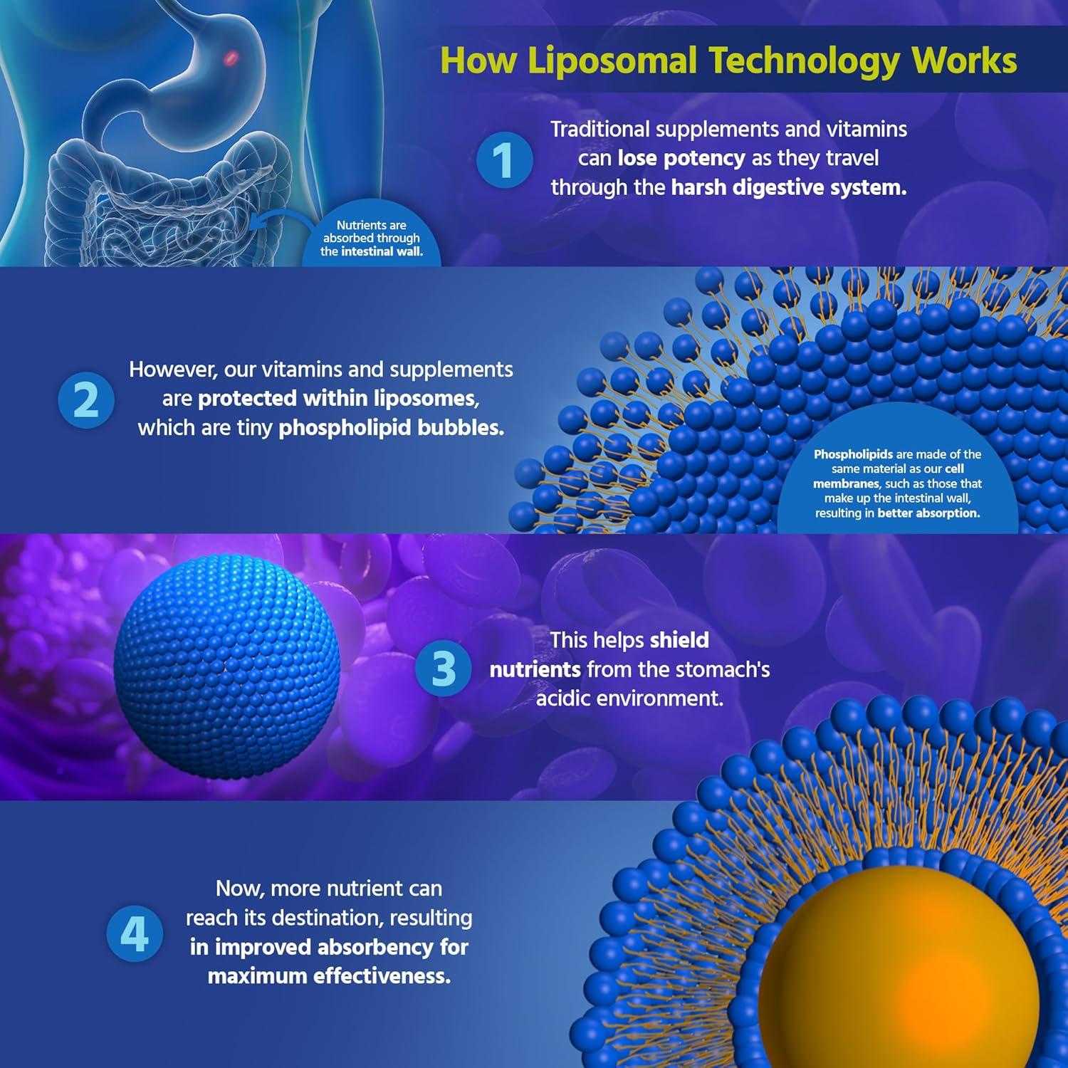 Vitamina C Liposomal 1000mg Core Med Science 180 Cápsulas