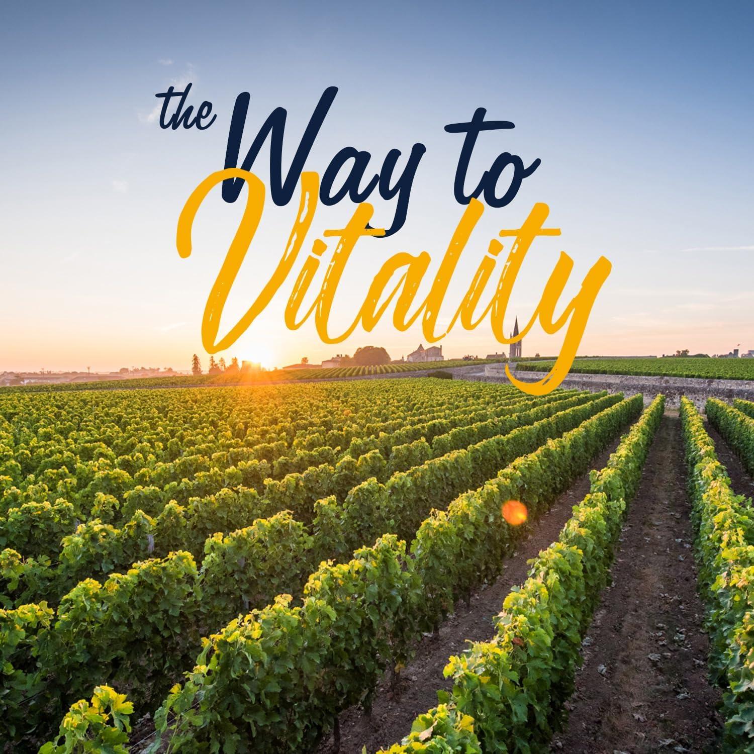 Complejo de Vitamina C Vitalitown 1000mg con Rosa Mosqueta y Cúrcuma - 120 Tabletas