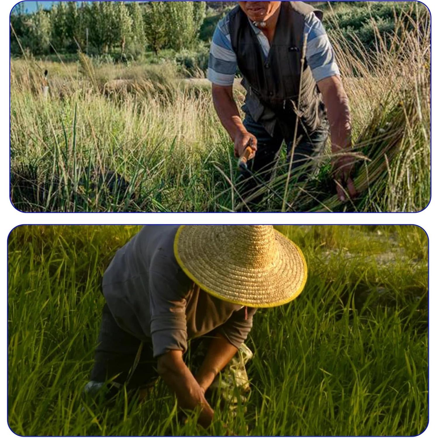 Hacha de Desbroce FOCMKEAS 260mm Acero de Manganeso