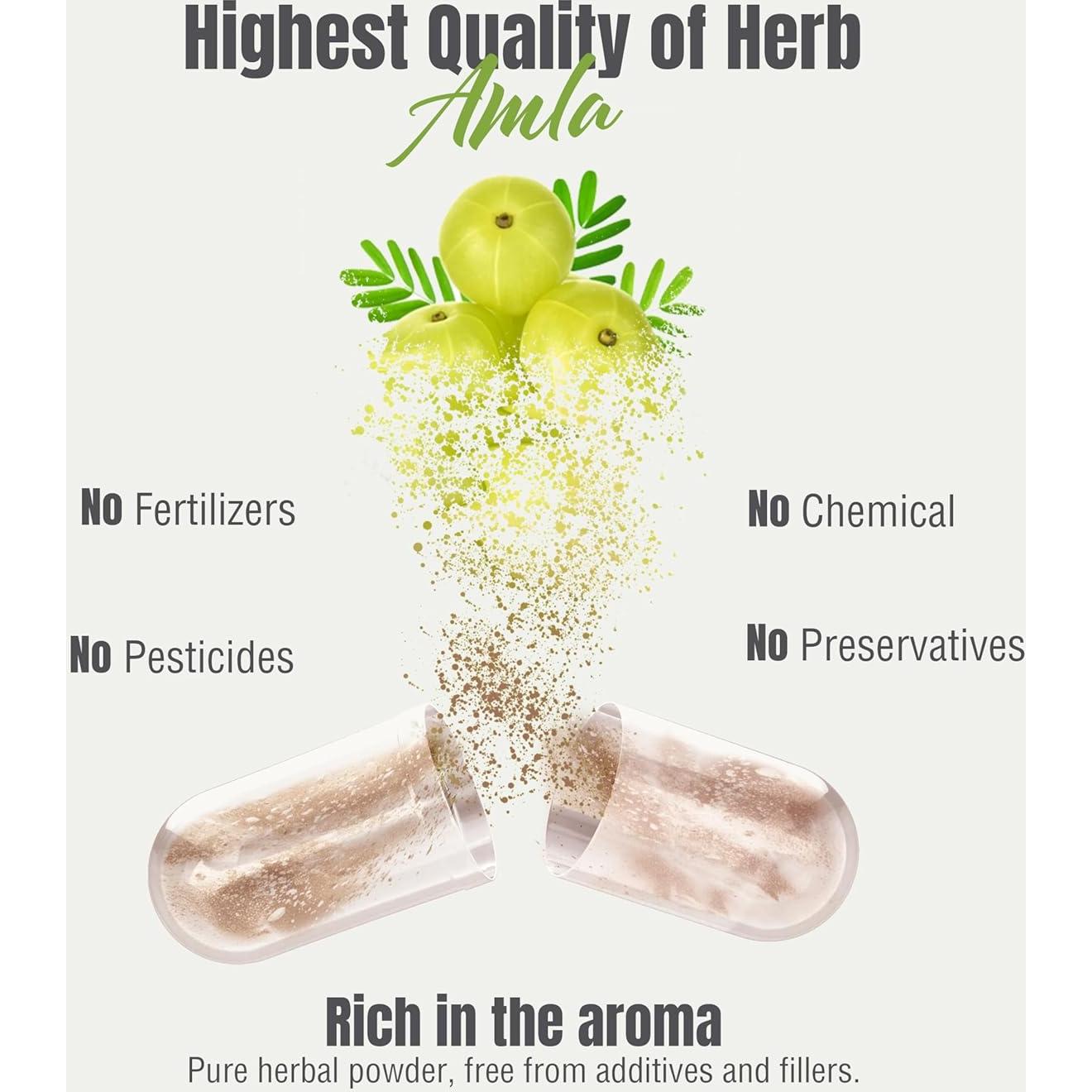 Cápsulas de Amla 950mg - Suplemento Herbal Vegano 60 Unidades