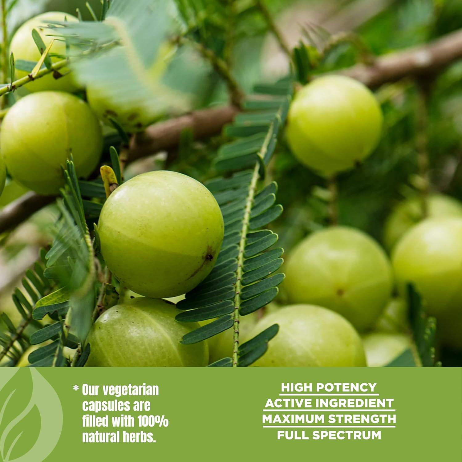 Cápsulas de Amla 950mg - Suplemento Herbal Vegano 60 Unidades